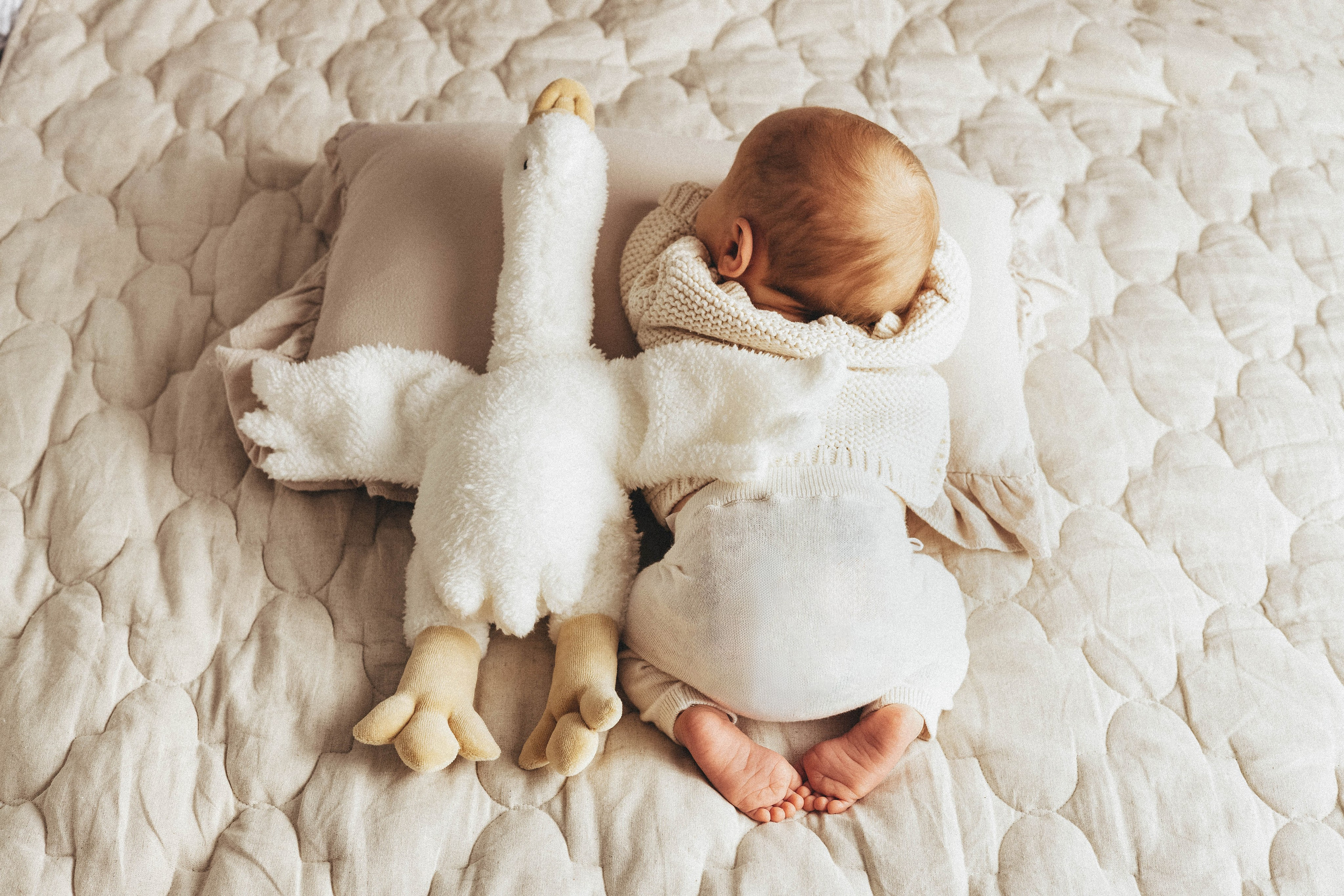 Алёна. Фотограф новорожденных в Санкт-Петербурге Екатерина Иванова