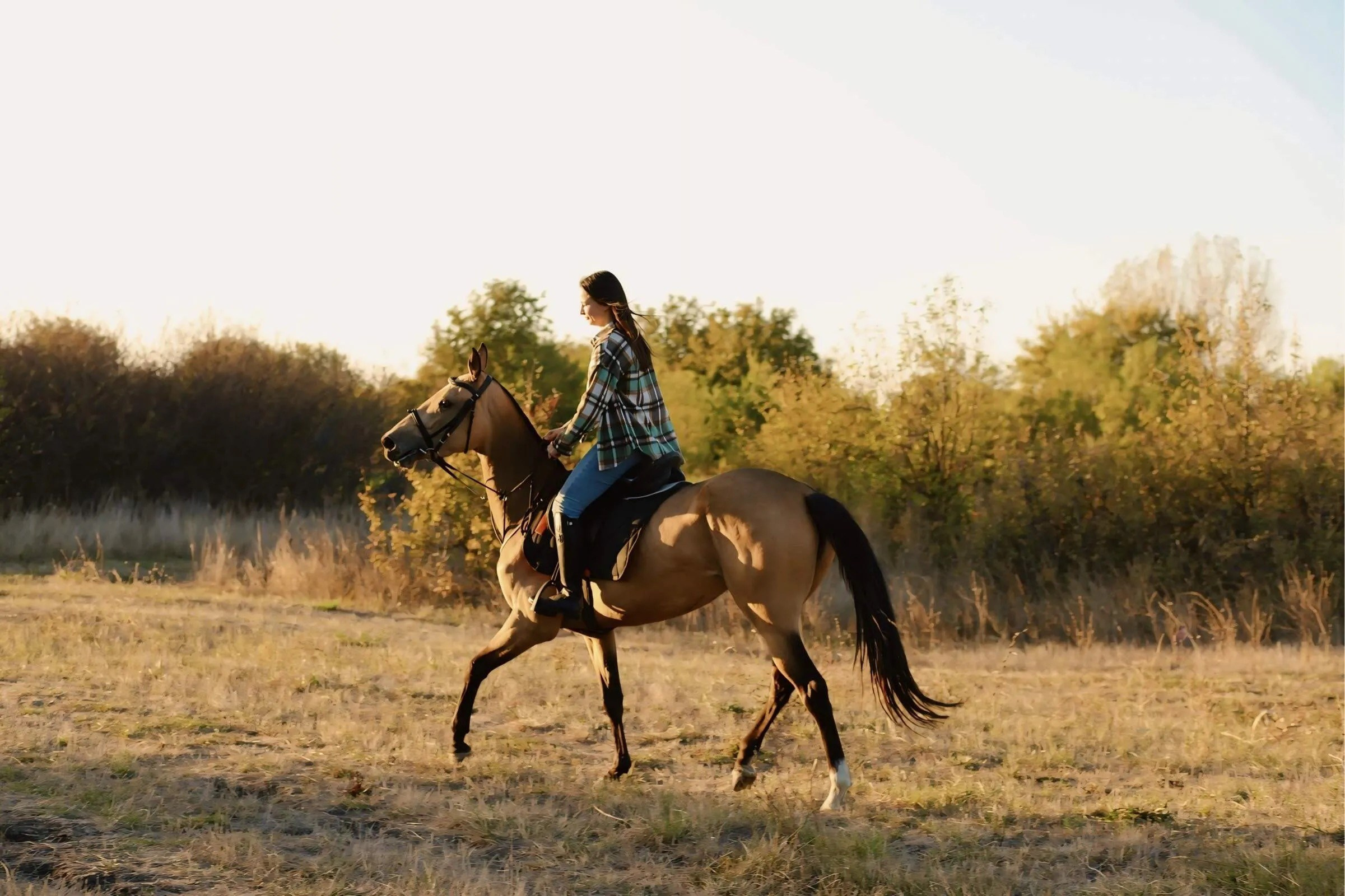 Индивидуальная фотосессия. Семейный и Свадебный фотограф Алиса Малиева