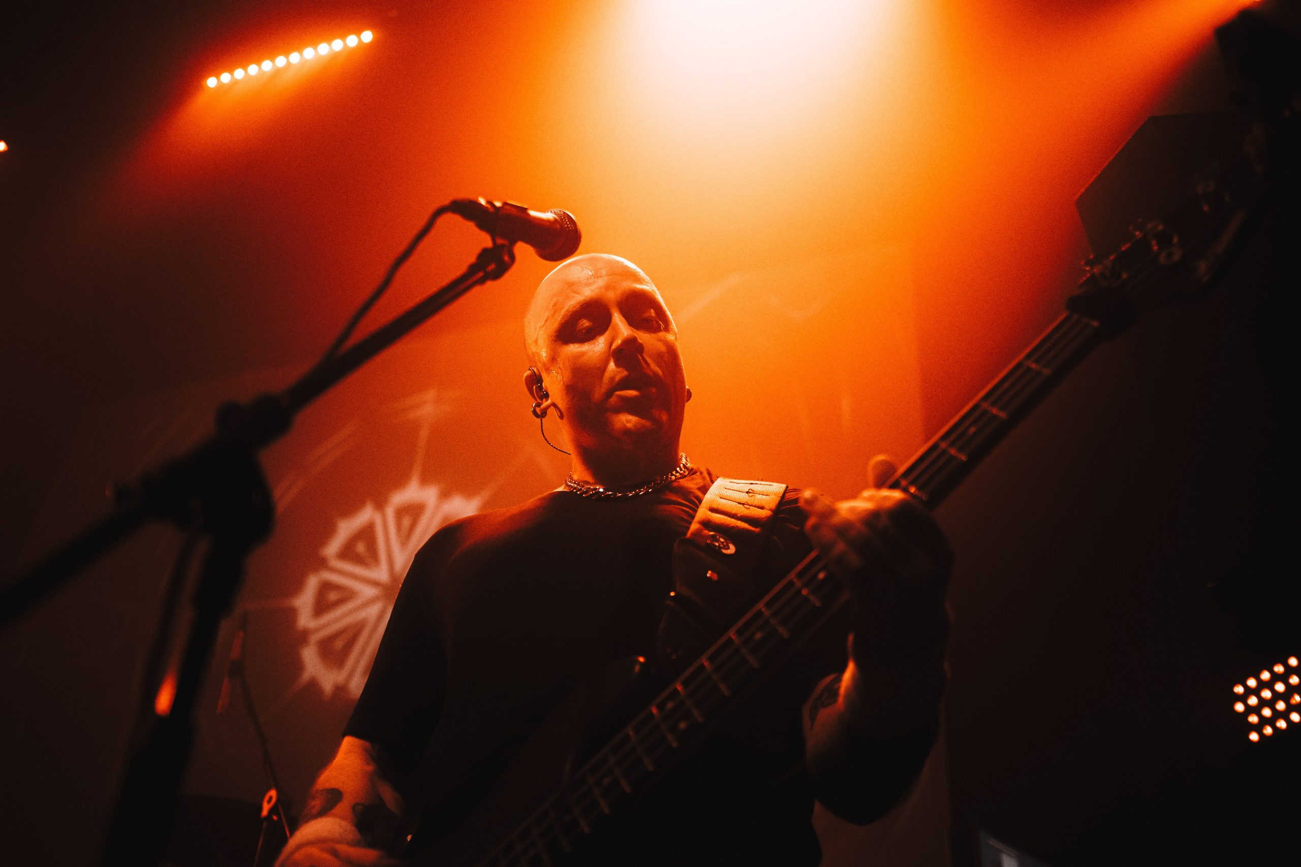 WITNESS EFFECT | 19.04.25 | Ласточка