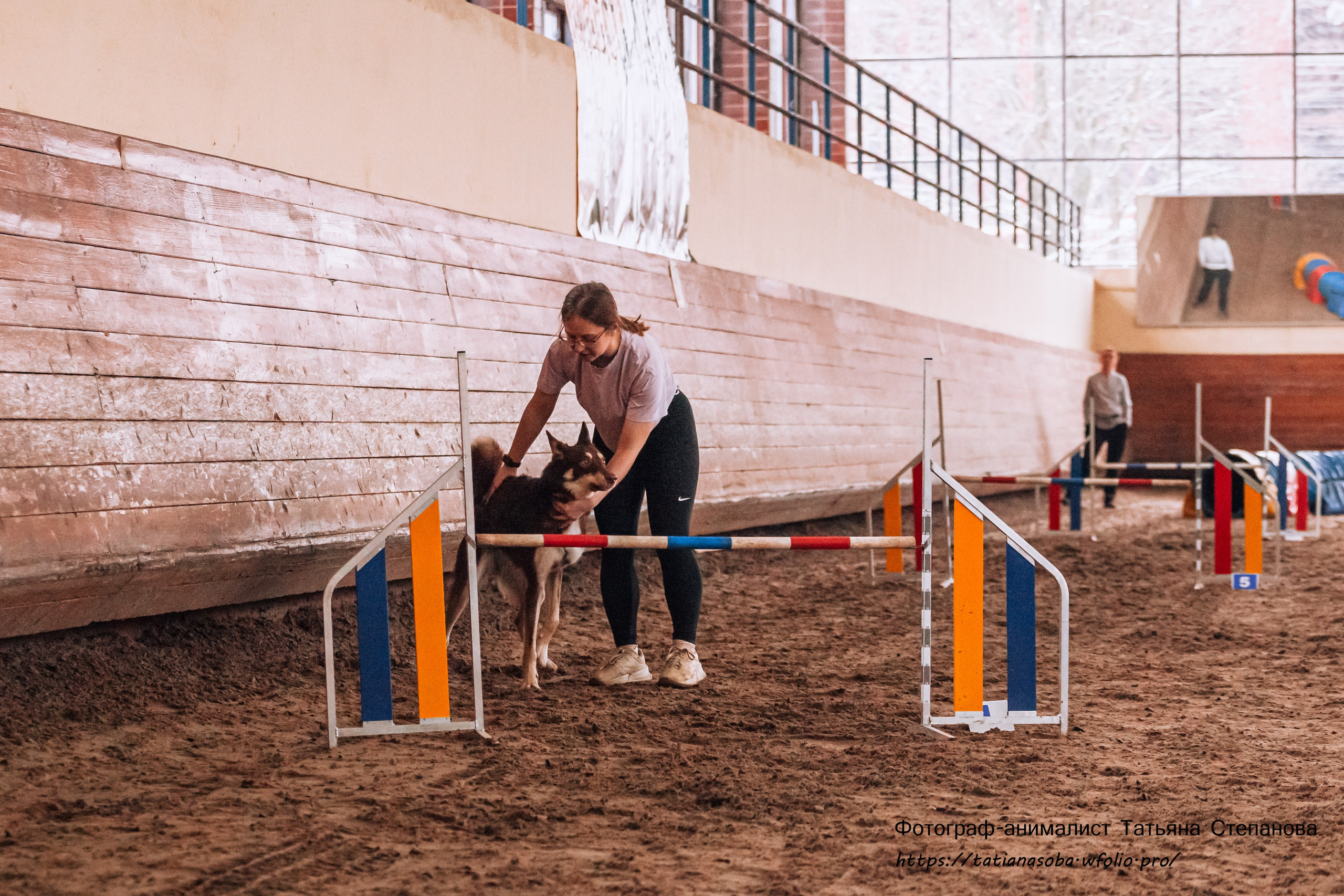 Соревнования по Аджилити 25.02.2024. Фотограф-анималист Татьяна Степанова