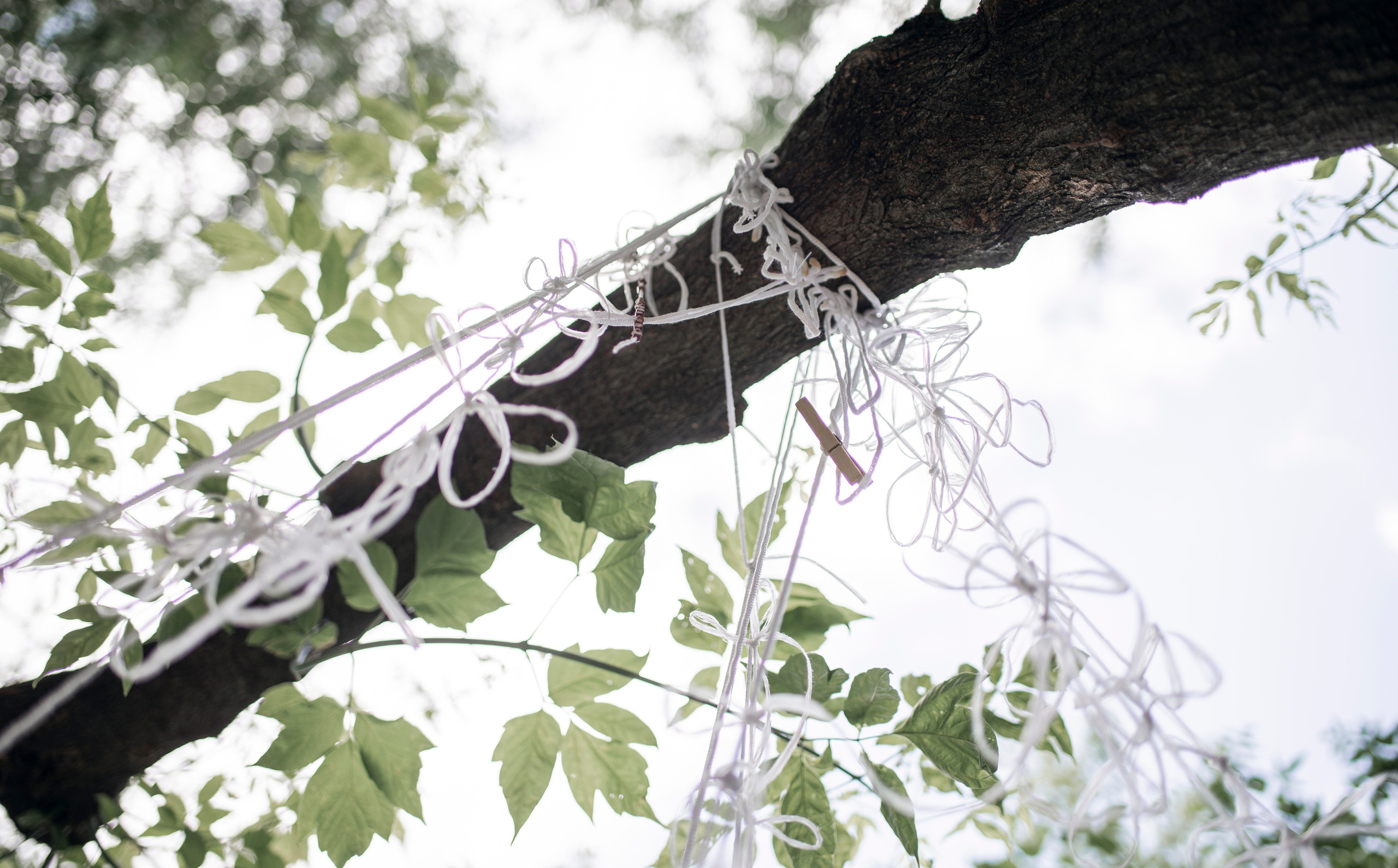 Выставка в доме Третьяковых. Фотограф в Москве Алейникова Евгения