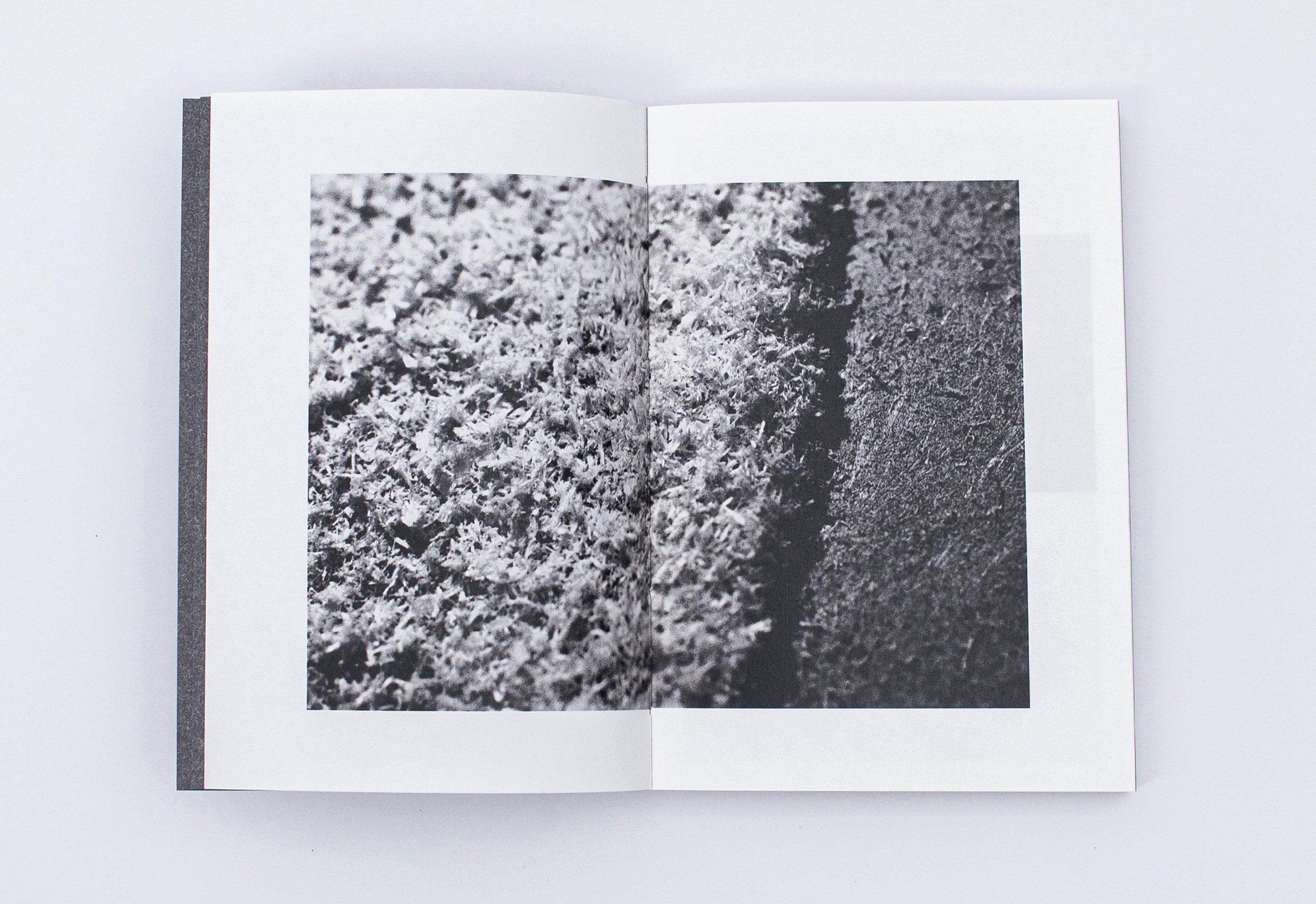 Книга. Фотограф в Москве Алейникова Евгения