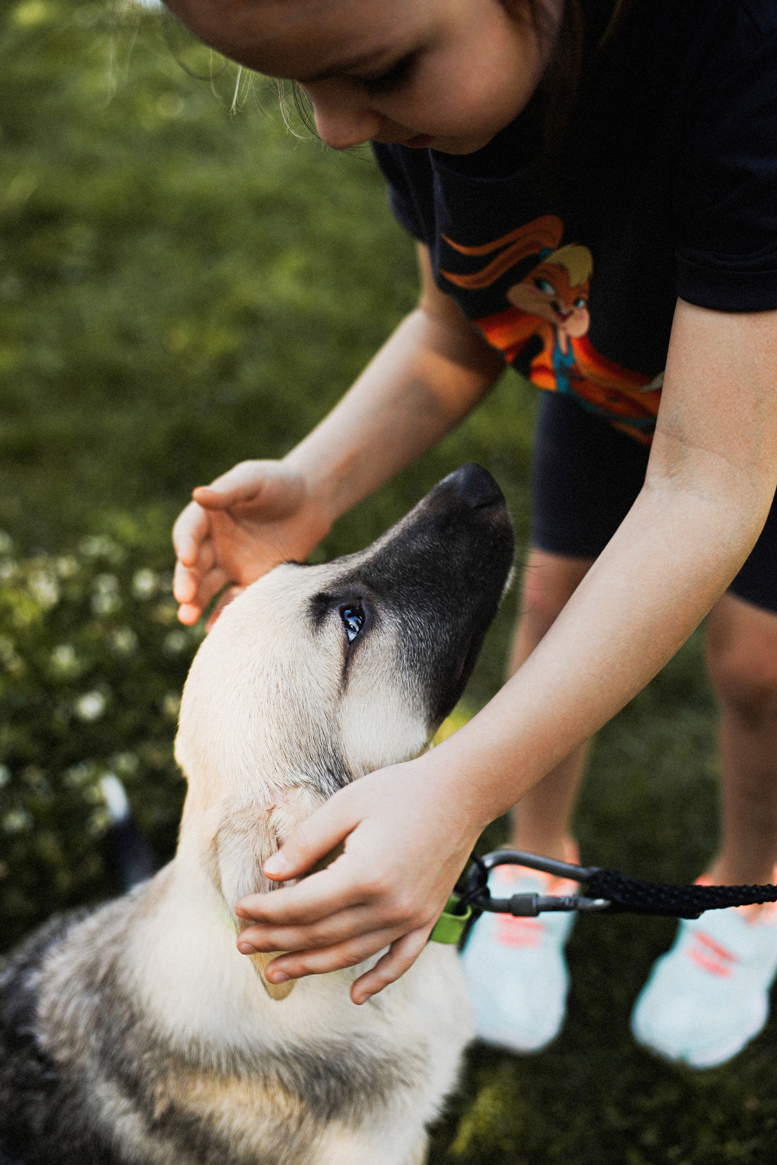 Дог пати. Коцаба Виктория фотограф в Москве