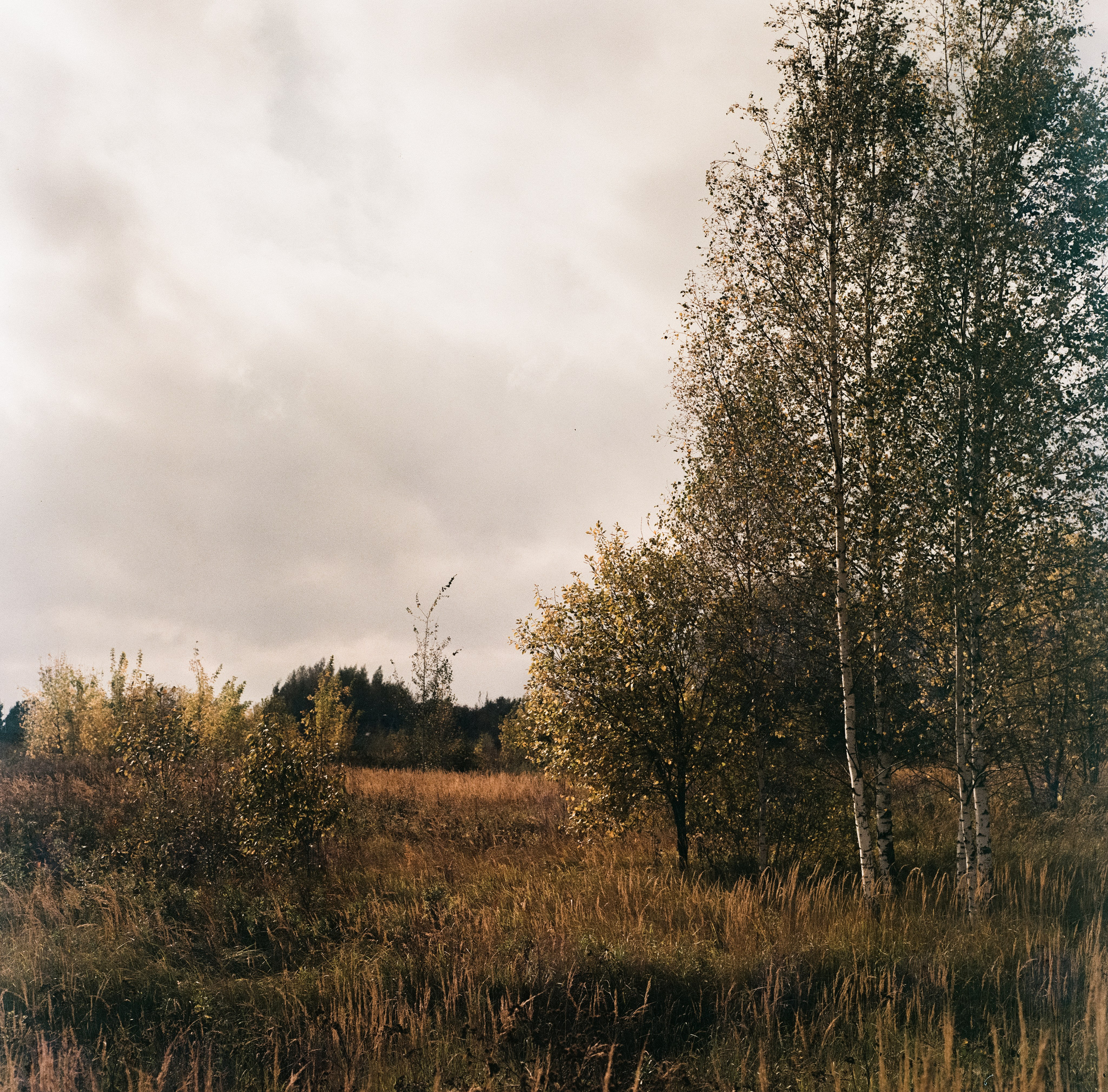 Kowa Six с объективом Kowa 85 mm f/2.8 / Fujicolor Super HR 100