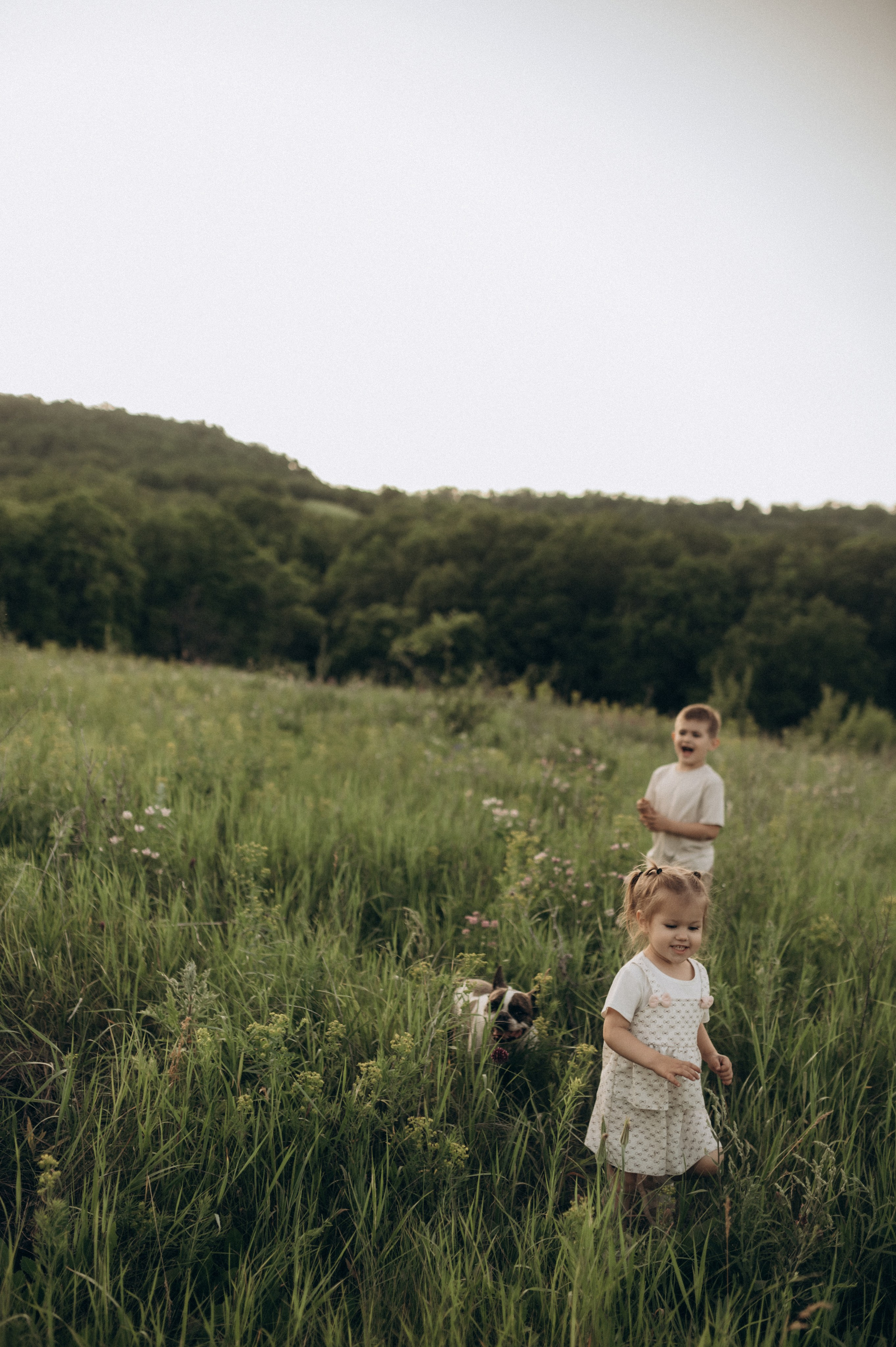 Летний вечер с самыми любимыми. Фотограф Мария Стрелкова