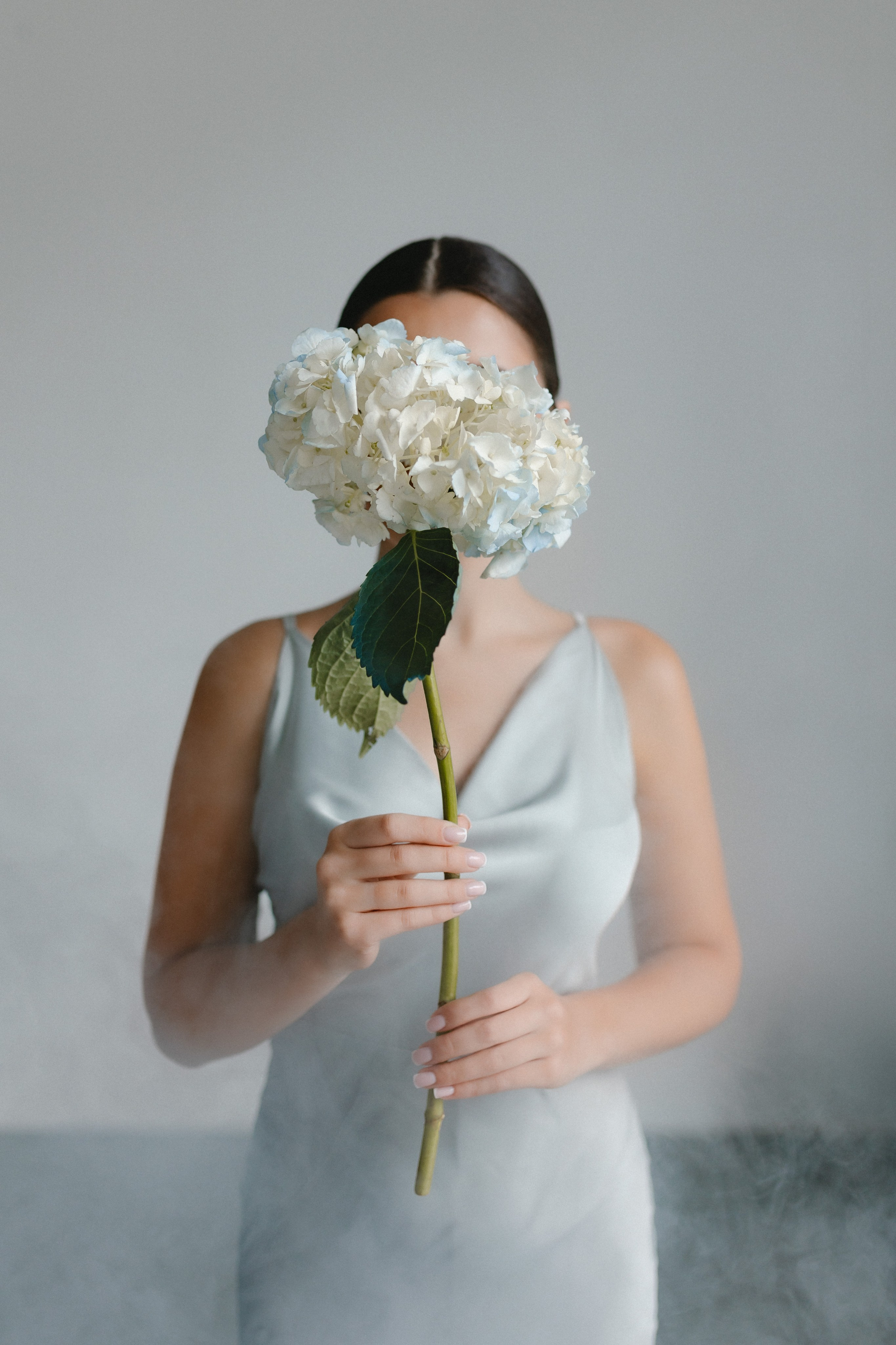 Нежная фотосессия с гортензией. Фотограф и видеограф в Мурманске, Москве Екатерина Нечаева