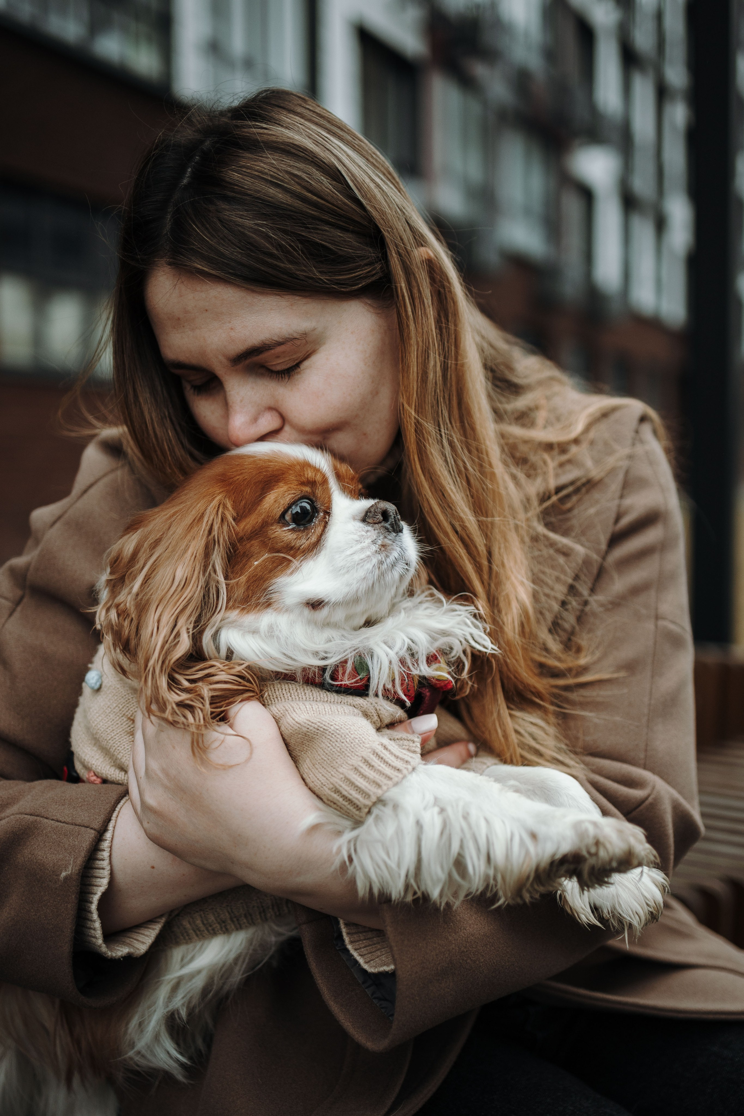 Любовь и Альтаир