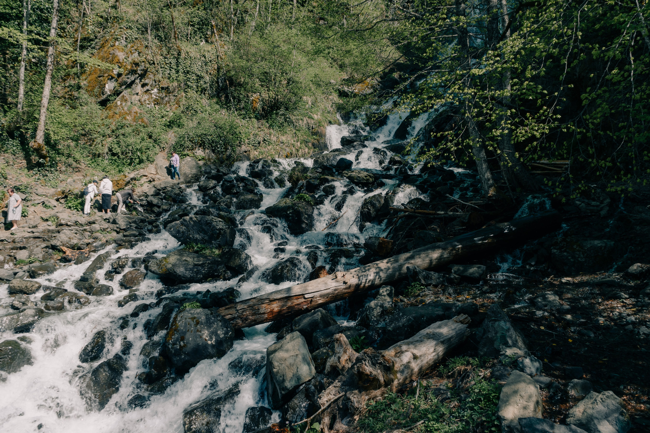 Сочи и Абхазия. Денис Марков — фотограф в Екатеринбурге