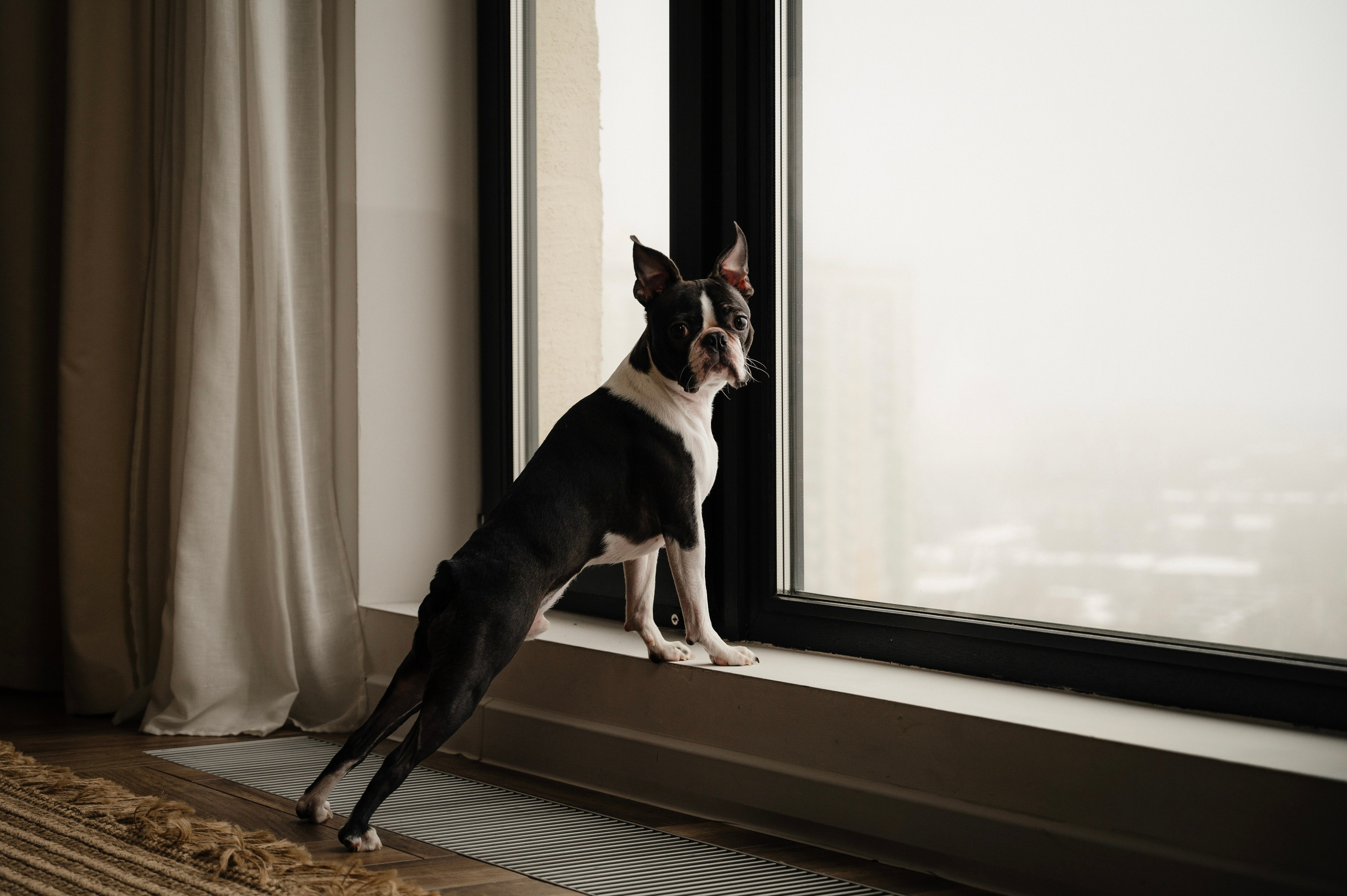 Весна в воздухе. Семейный и свадебный фотограф в Самаре