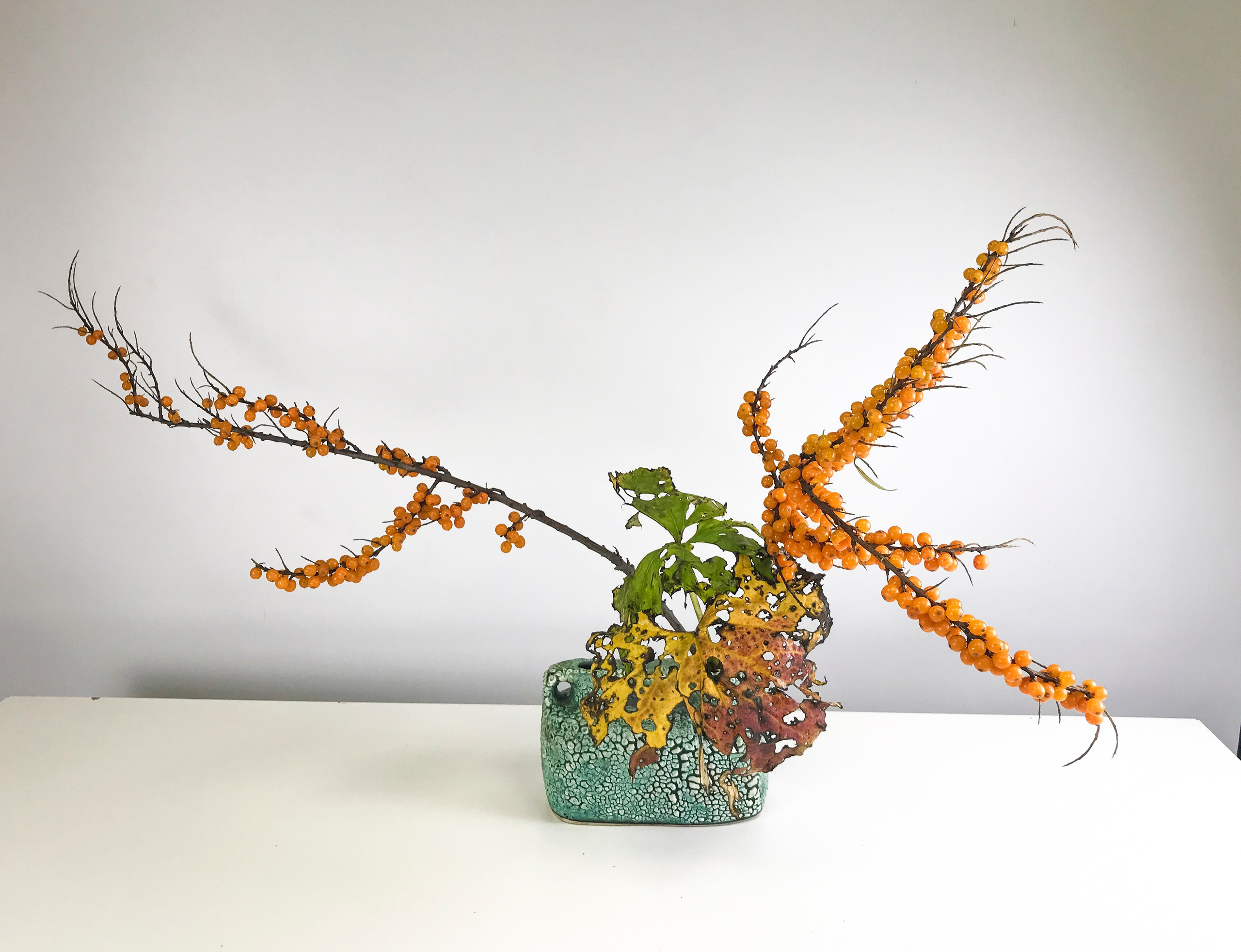 Икэбана Барне. Фотограф Анна Барне