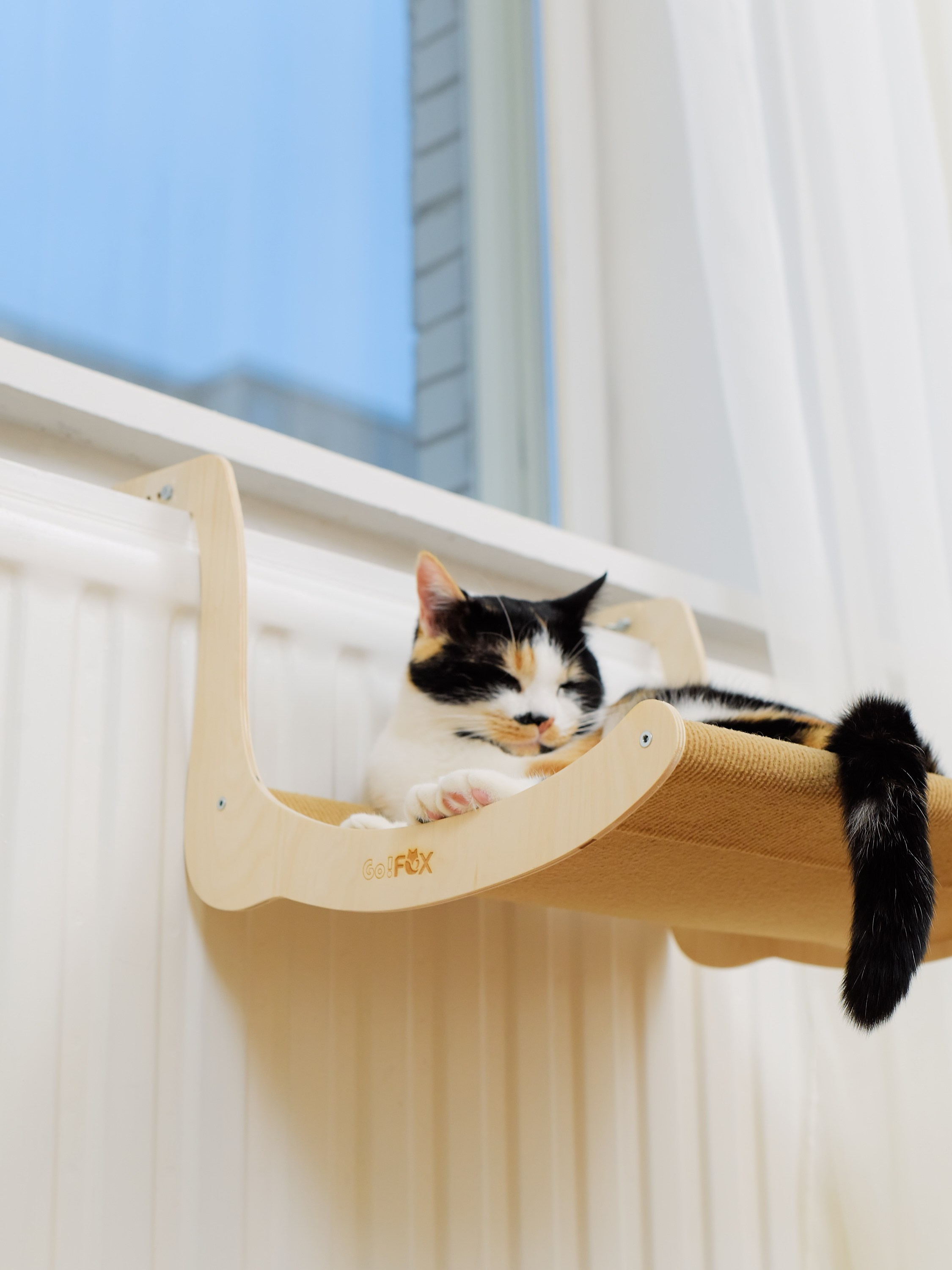 Товары для животных. Предметный фотограф, инфографика и видео в Санкт-Петербурге