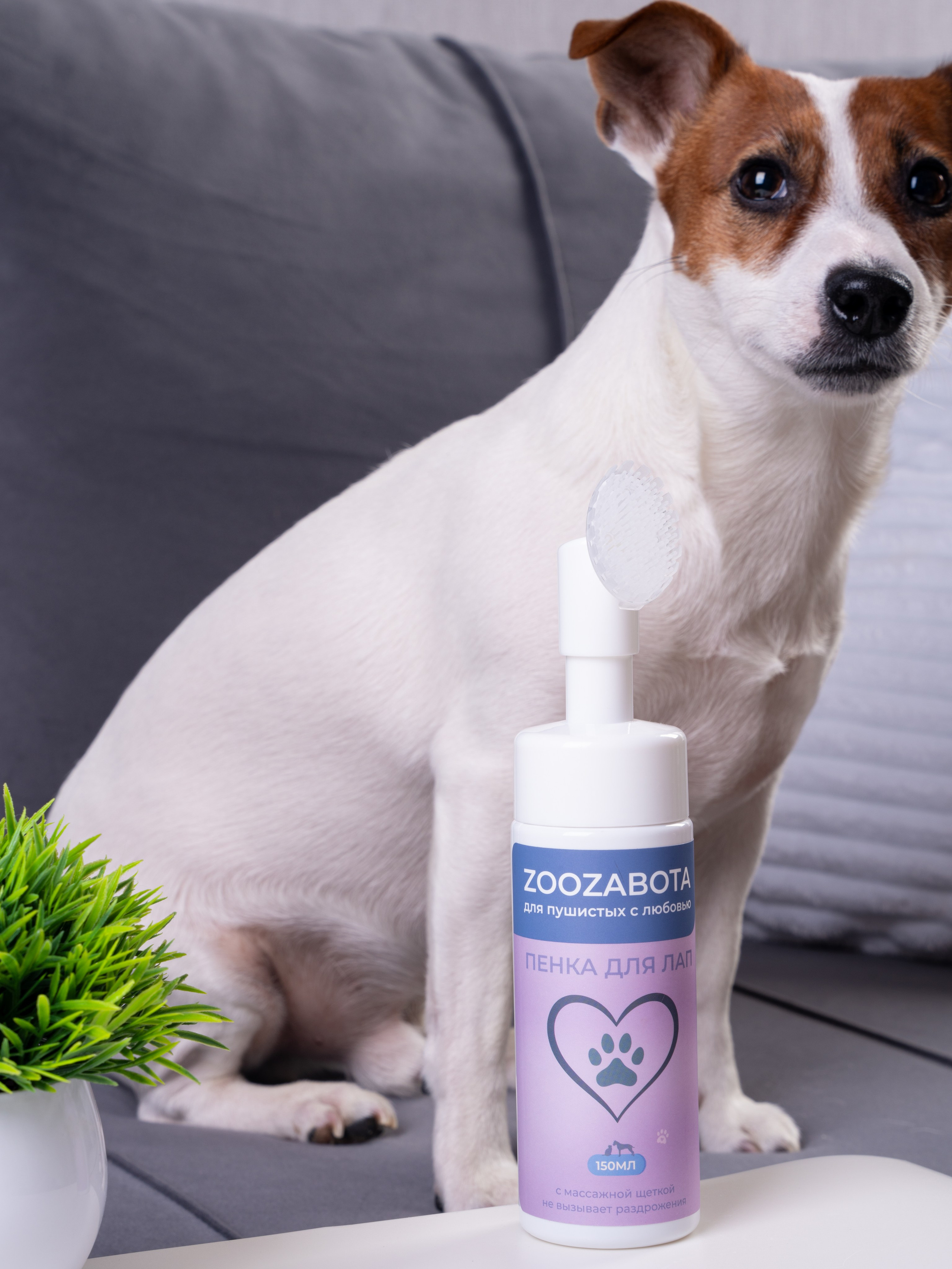 В декоре. Предметный фотограф