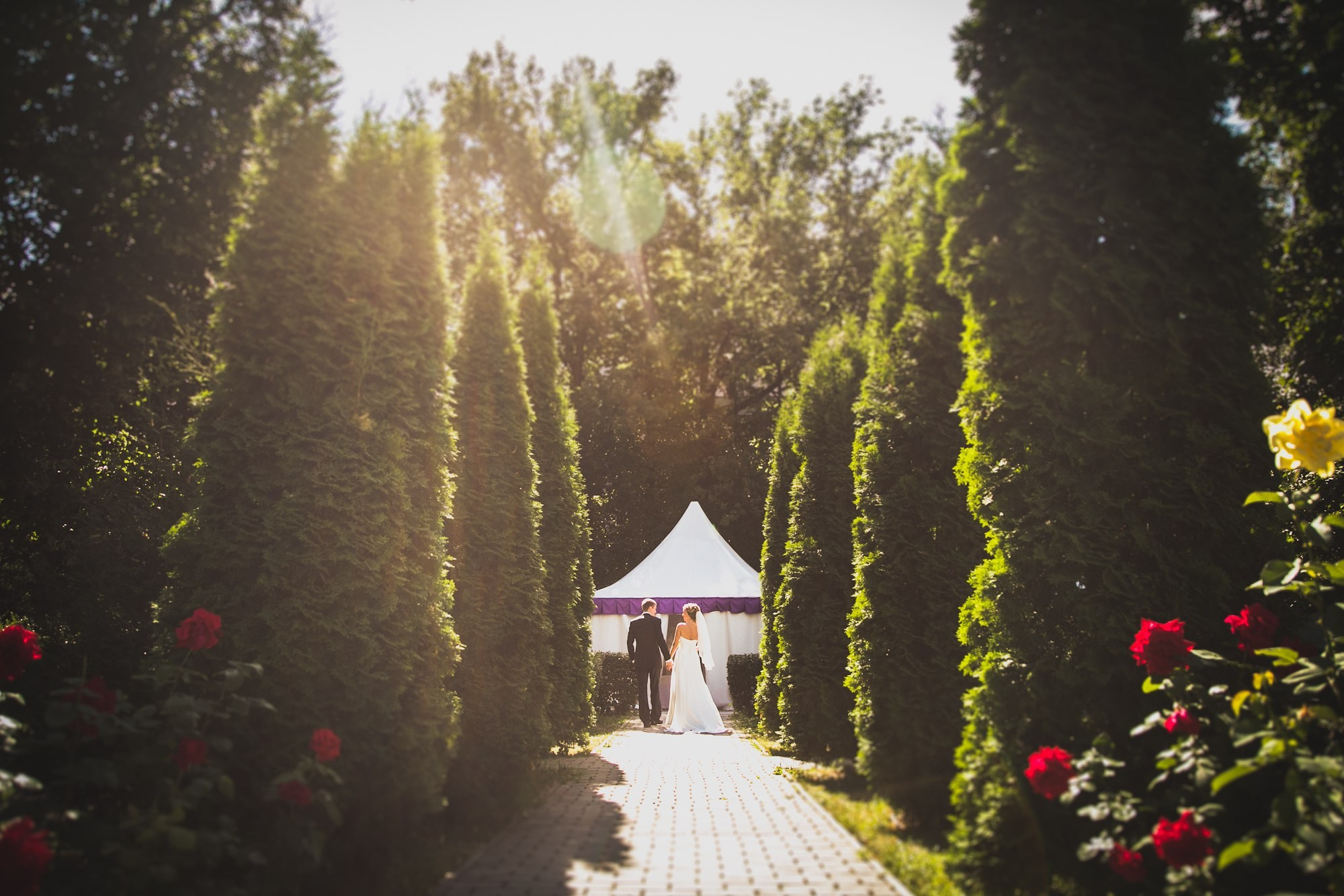 Свадьбы. Профессиональный фотограф Евгений Земцов в Москве. Контент съемка, репортаж мероприятий, бизнес портреты