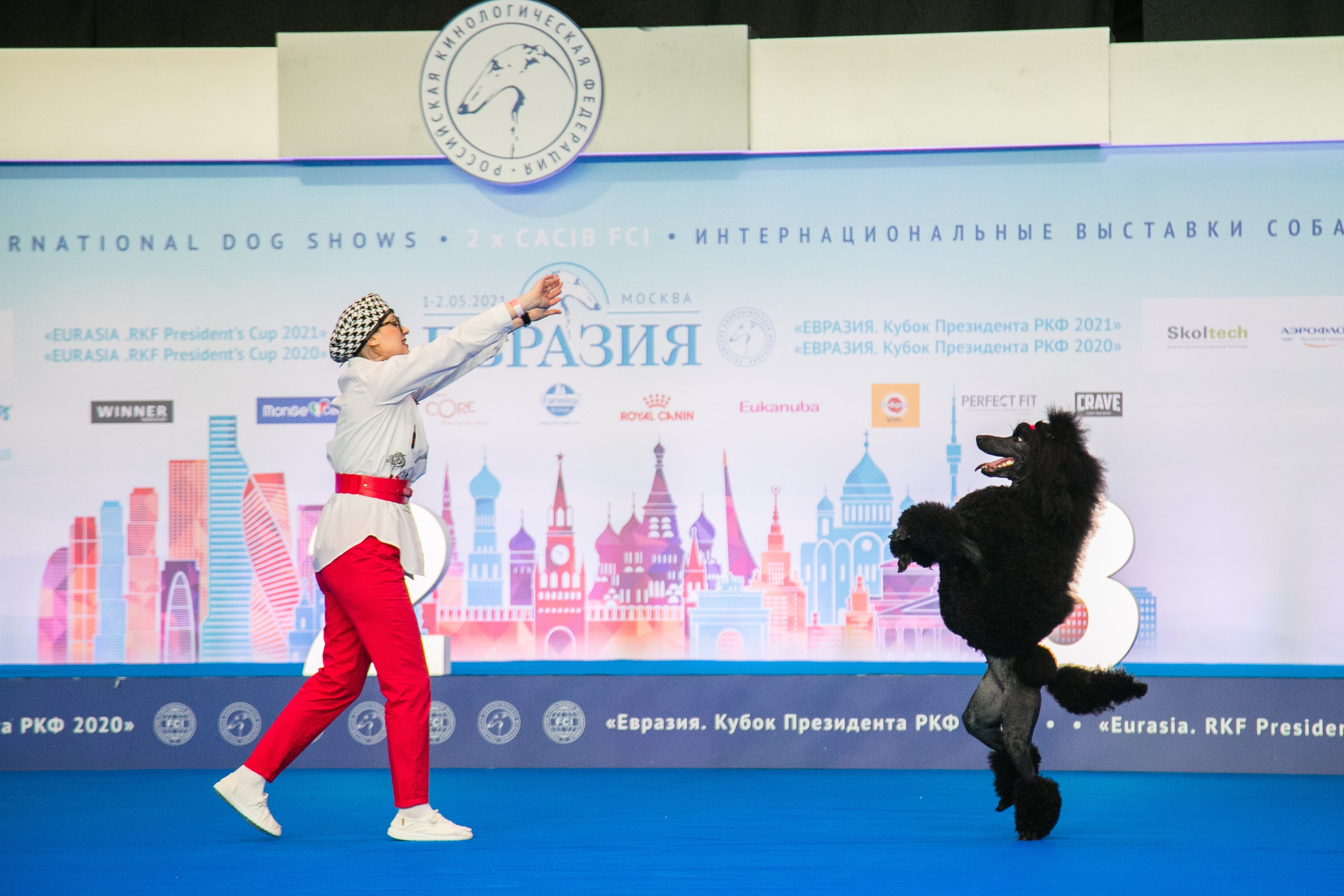 Выставки. Профессиональный фотограф Евгений Земцов в Москве. Контент съемка, репортаж мероприятий, бизнес портреты