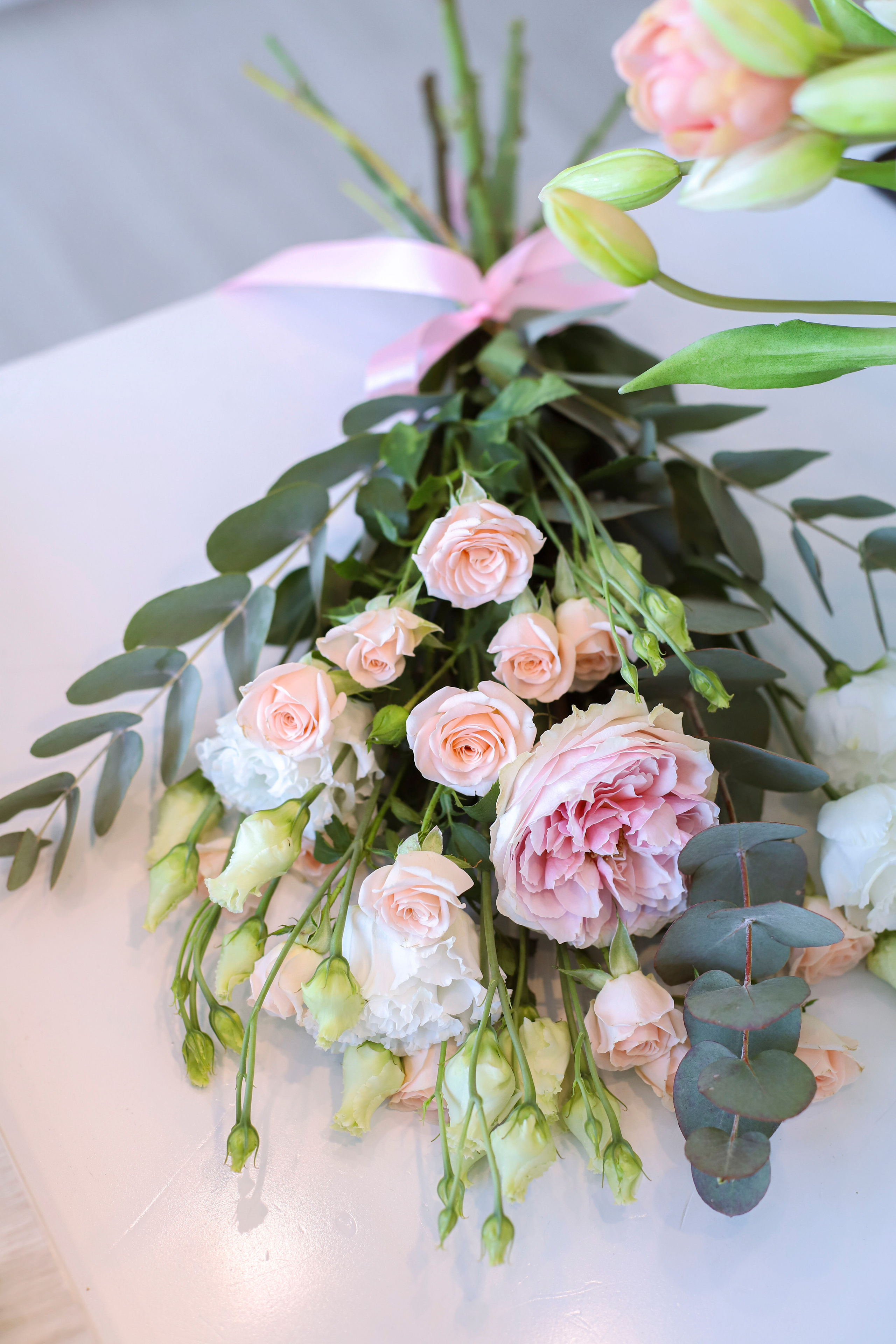 Нутрициолог Светлана. Фотограф и Видеограф в Санкт-Петербурге Алиса Шандрик