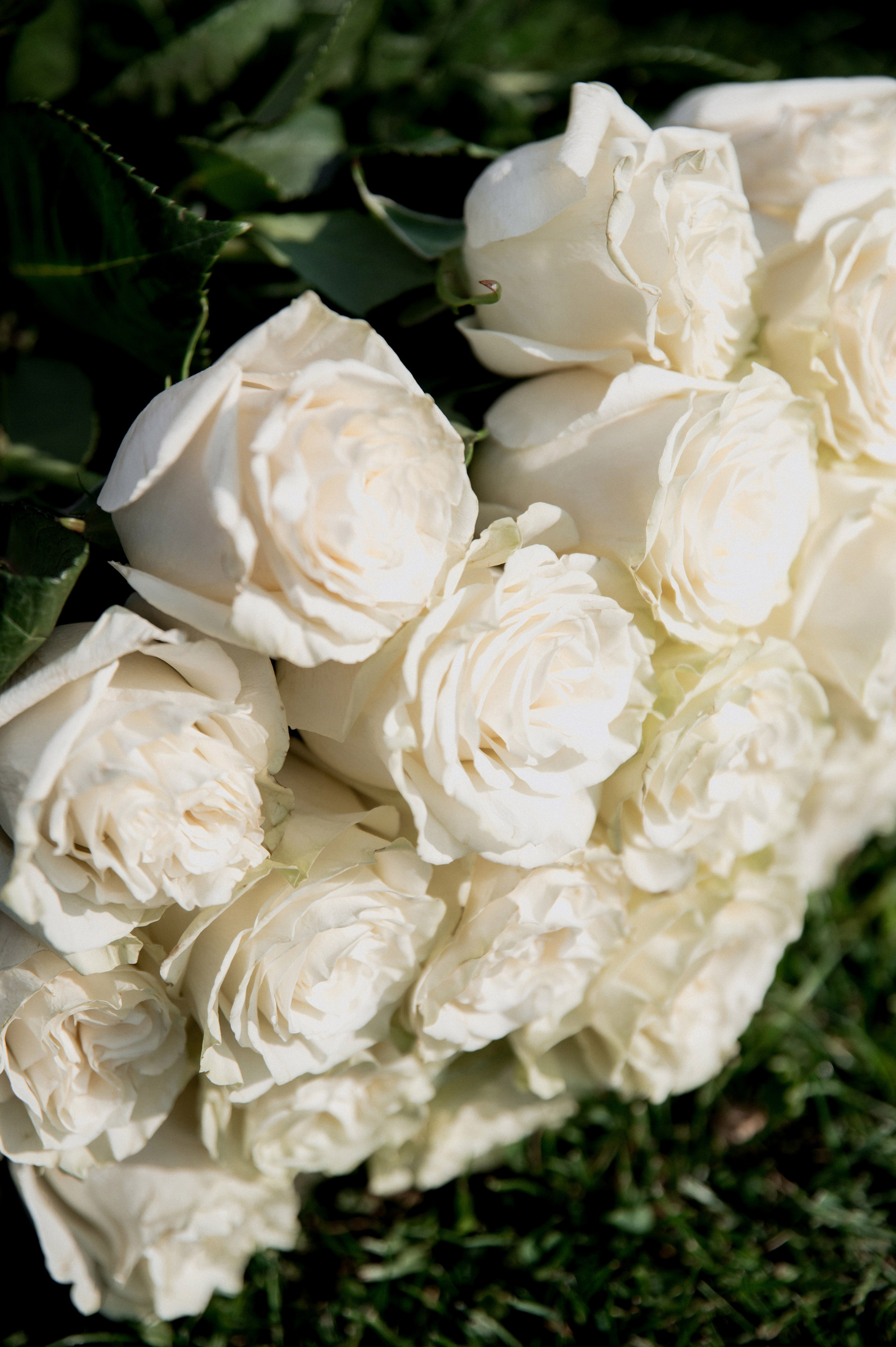 Леонид и Валерия. Фотограф Кирилл Верт