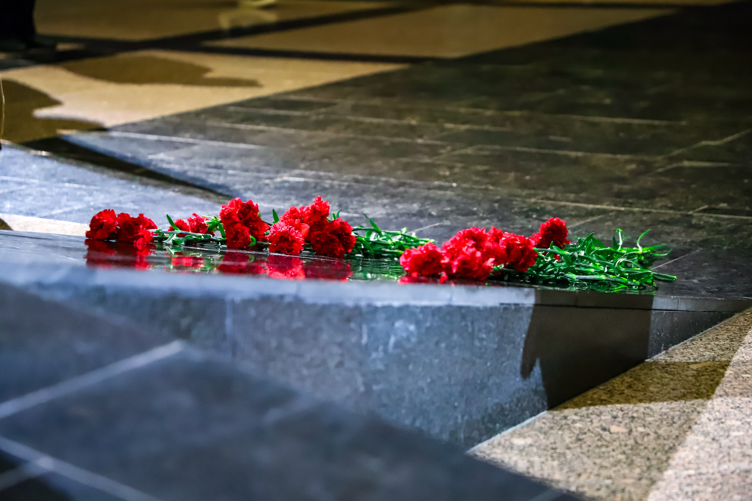 Кадеты и Юнармия. K-pop (и не только) фотограф в Москве Светлана Полякова