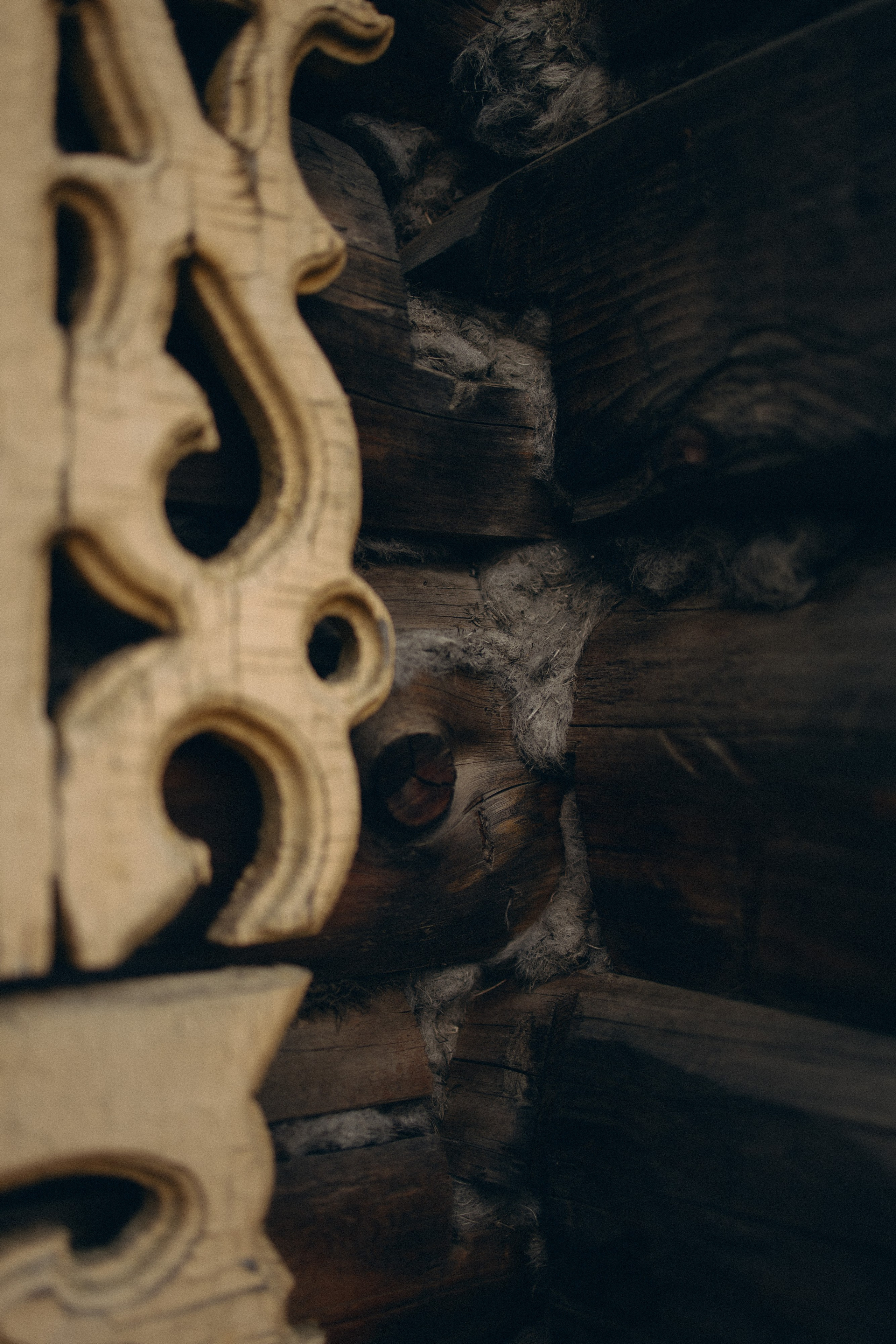 Анна. Фотограф Виктория Куприянова