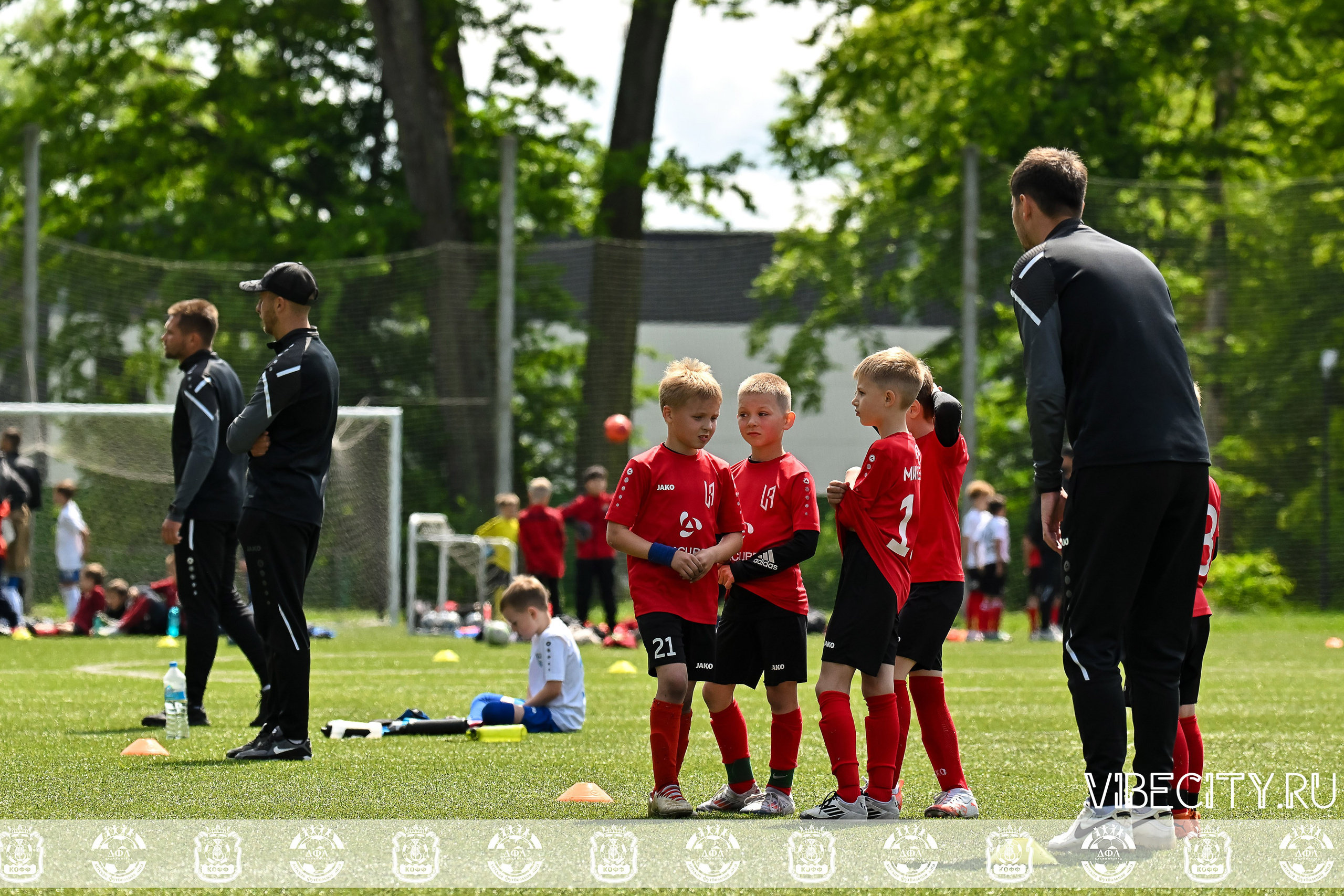 Большие Звезды светят Малым. VIBECITY.RU Вайб Сити Ру Фоторепортажи Фотоотчеты Калининград