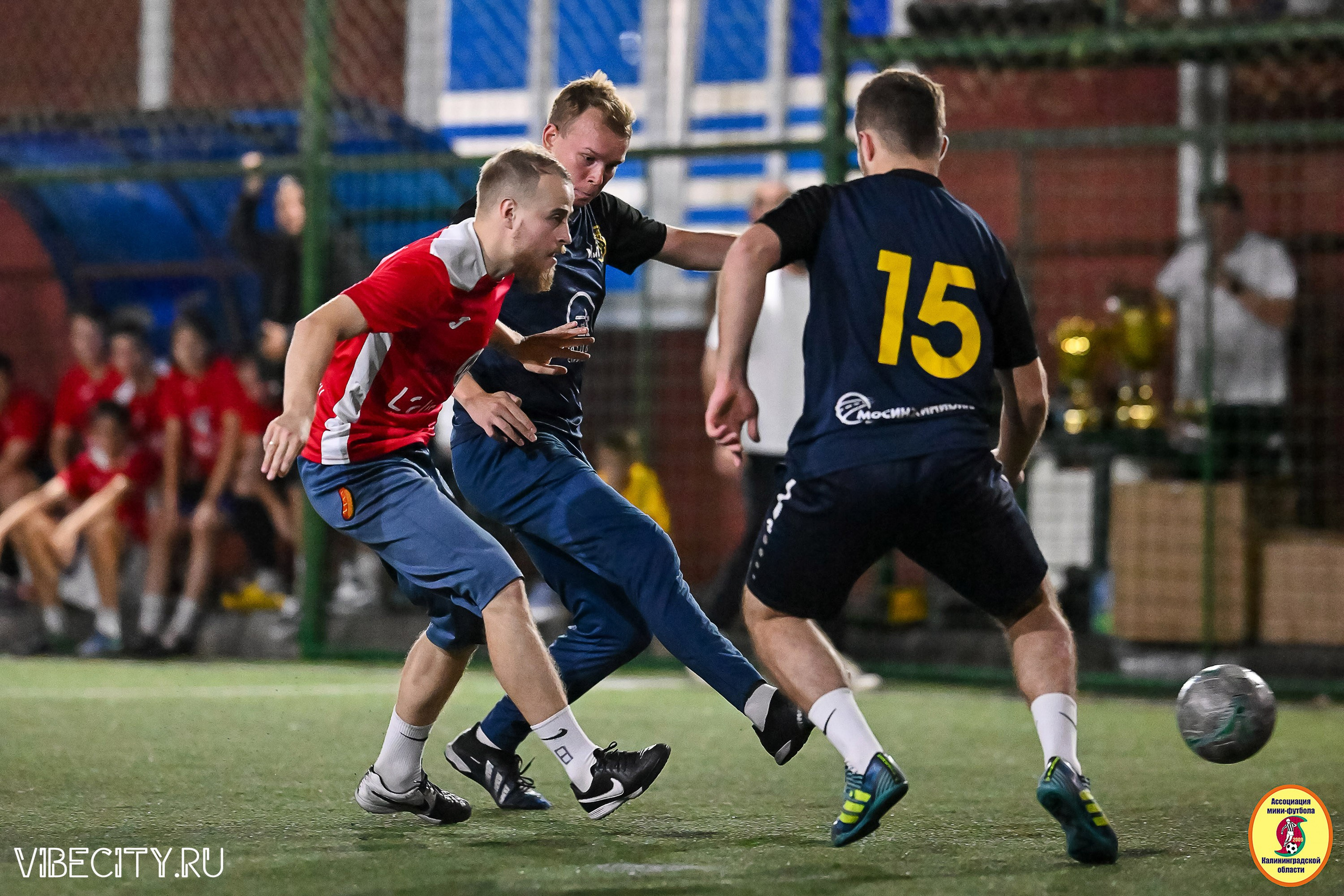 ФИНАЛЬНЫЕ ИГРЫ КУБКА МИНИ-ФУТБОЛЬНОЙ ЛИГИ И КУБКА КОРПОРАТИВНОЙ МФЛ 2025. VIBECITY.RU Вайб Сити Ру Фоторепортажи Фотоотчеты Калининград