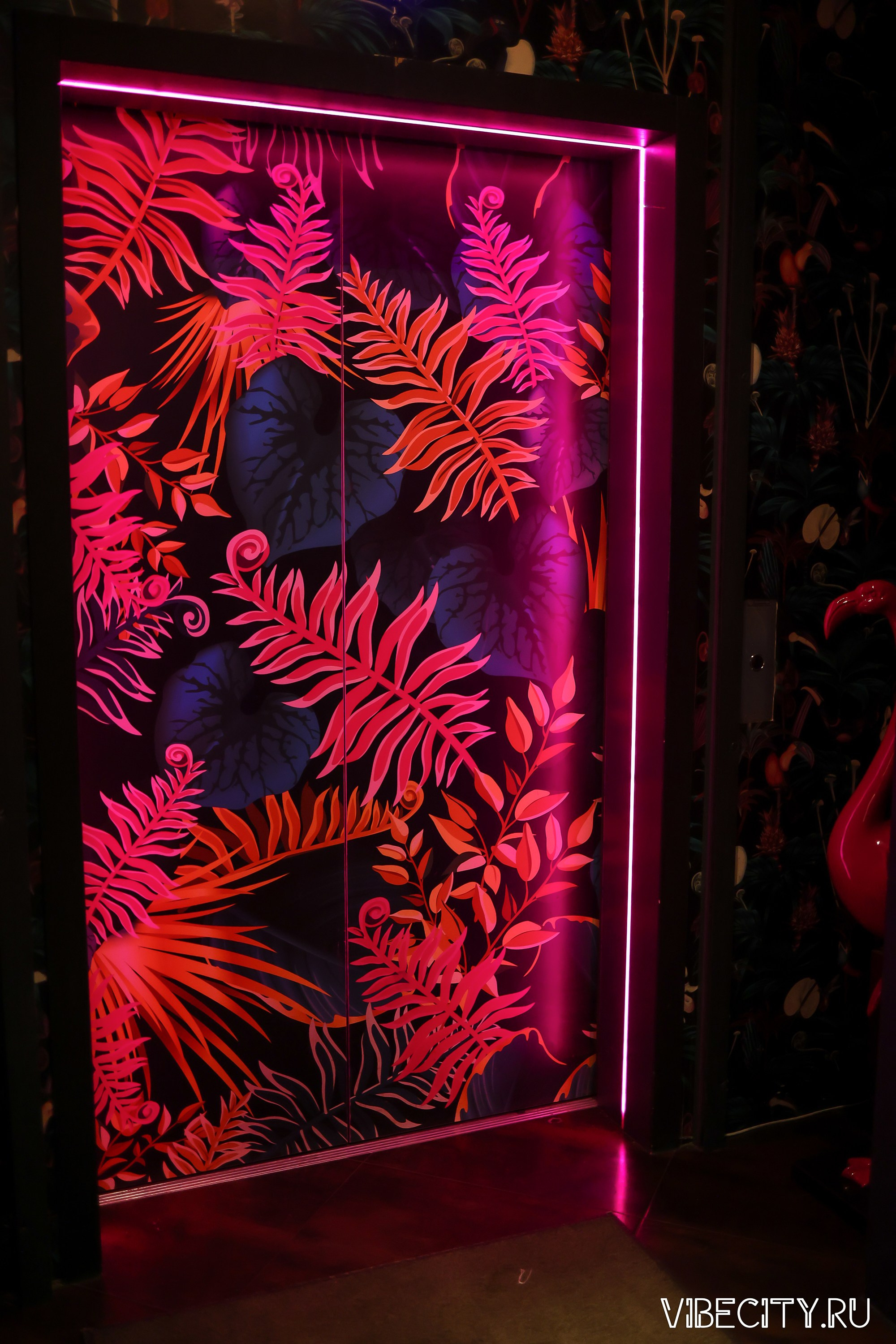 DOUBLE U. VIBECITY.RU Вайб Сити Ру Фоторепортажи Фотоотчеты Калининград