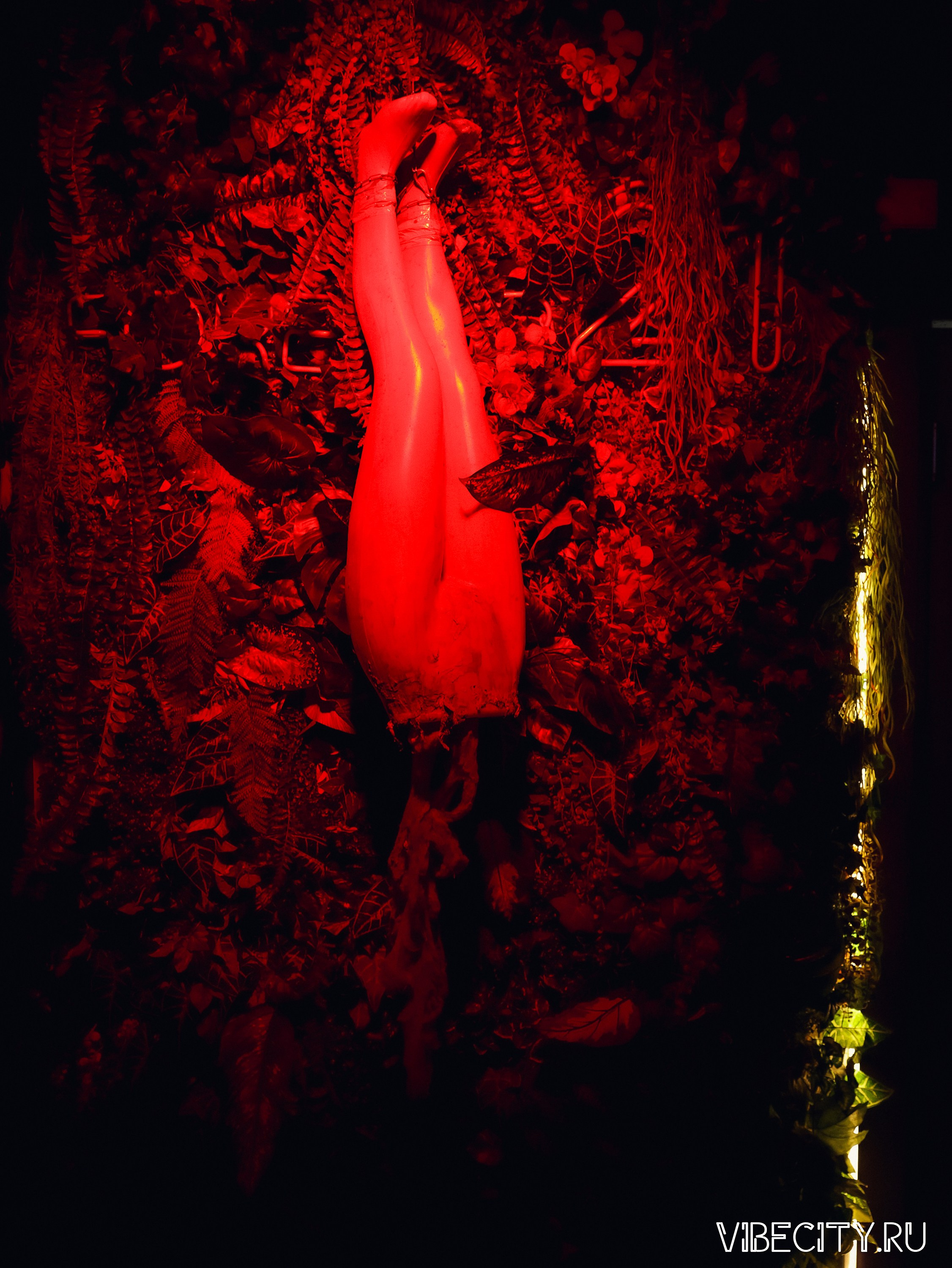 DOUBLE U. VIBECITY.RU Вайб Сити Ру Фоторепортажи Фотоотчеты Калининград