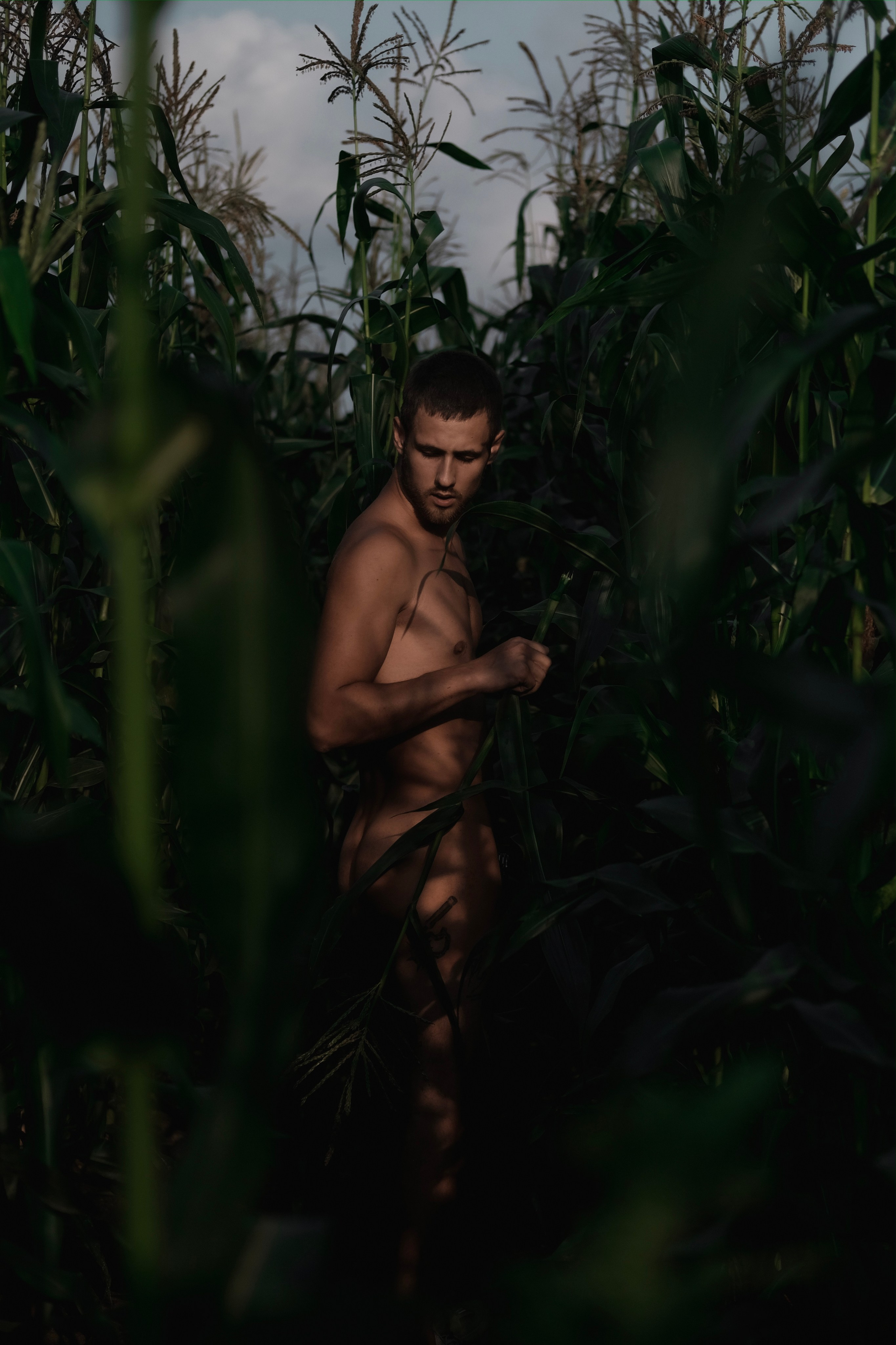 Голый мужчина в кукурузном поле. Фотограф и контентмейкер Света Лето | Москва, МО
