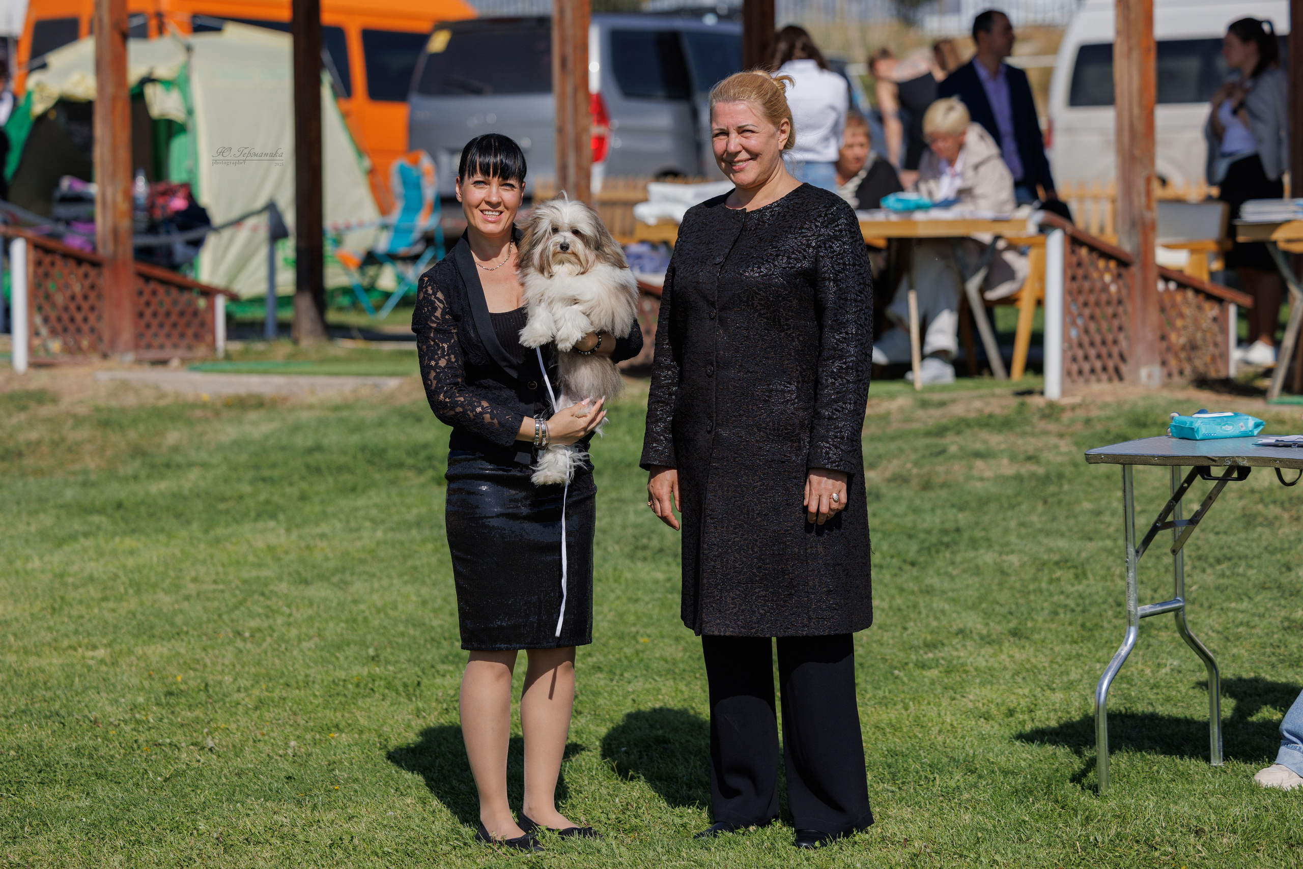 Ереван 14-16.10.2025. Фотограф-анималист Юлия Германика