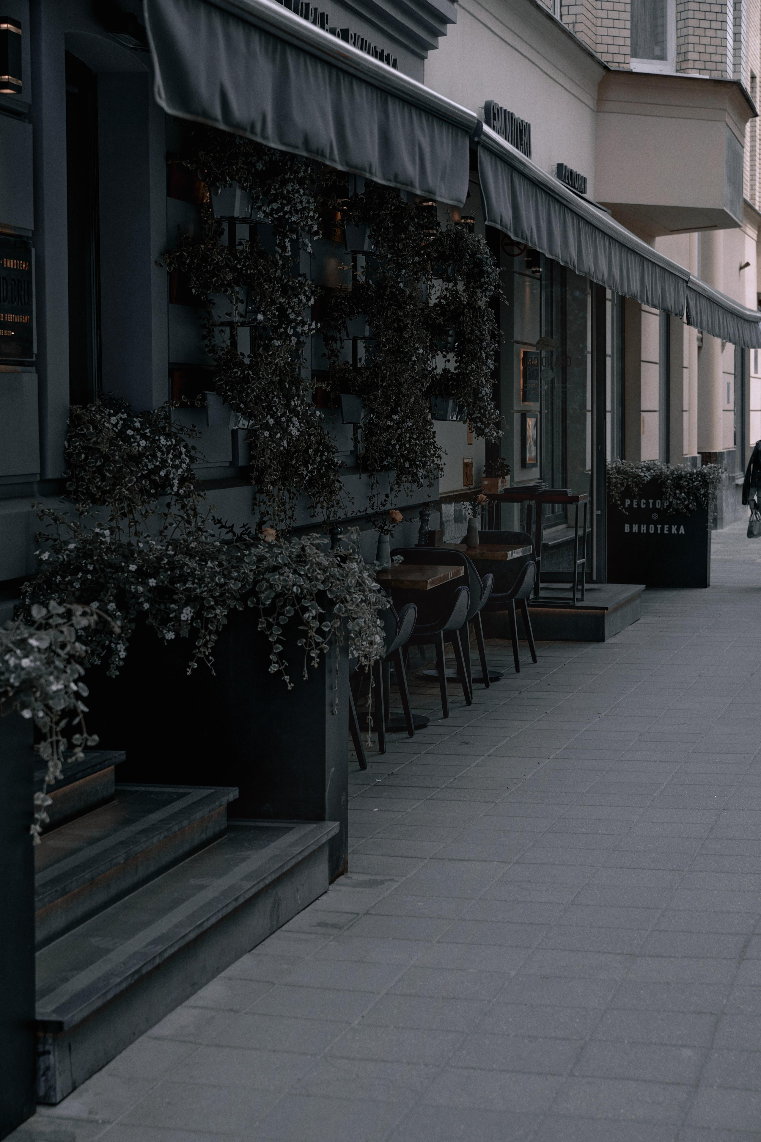 Мадина. Главная