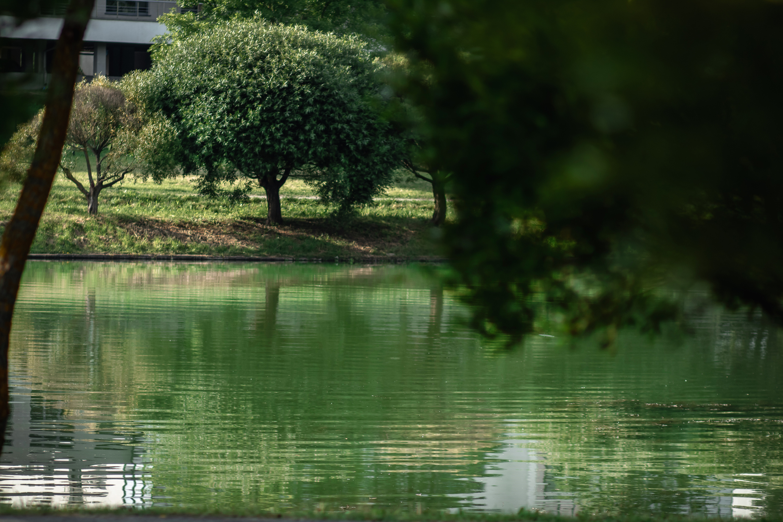 На пикник!. Семейный фотограф в Минске Приболовец Светлана