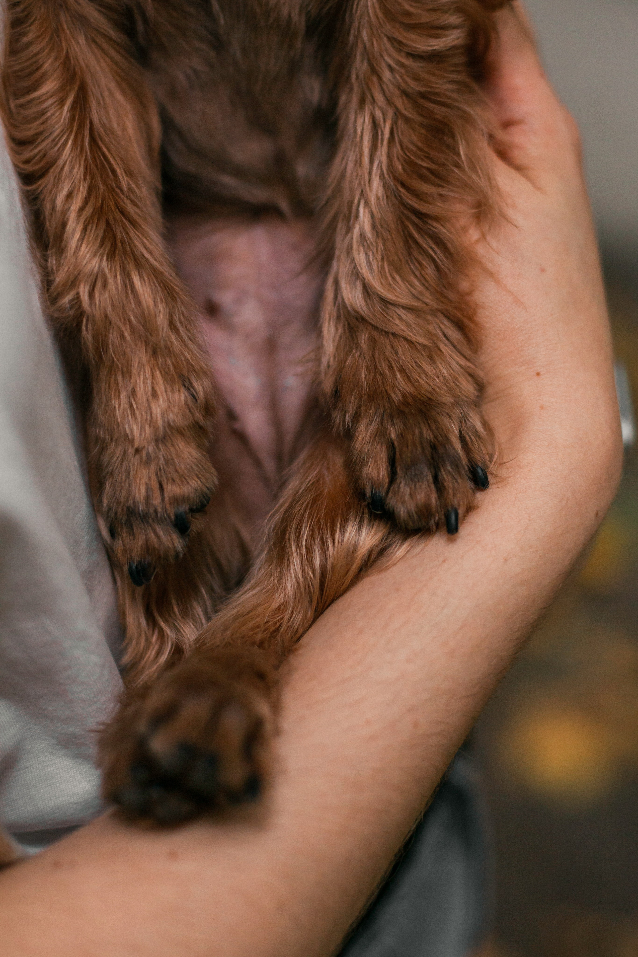 Катя и Моня. Фотограф-анималист Татьяна Степанова