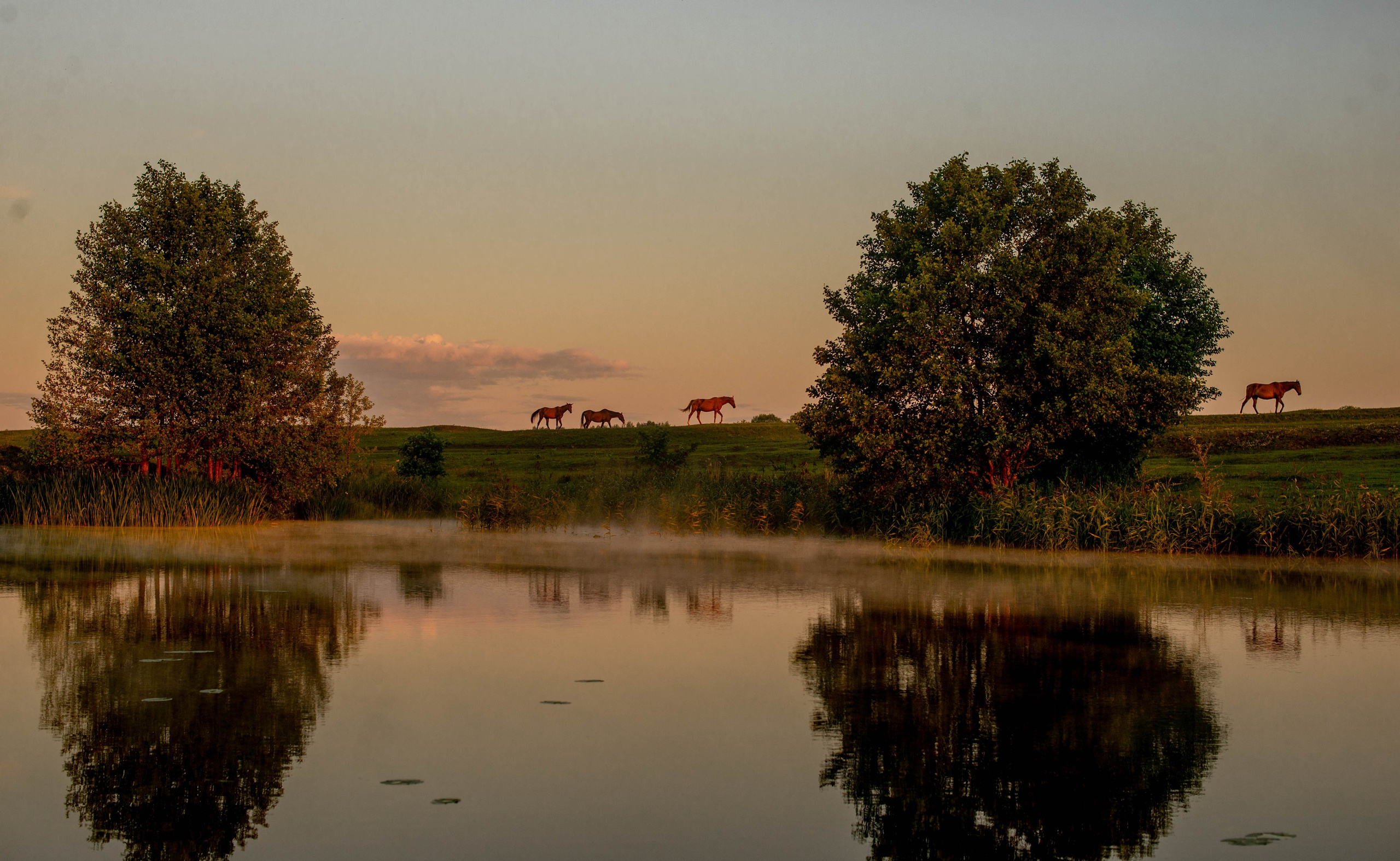 Viking Age. Travel photographer Max Muze