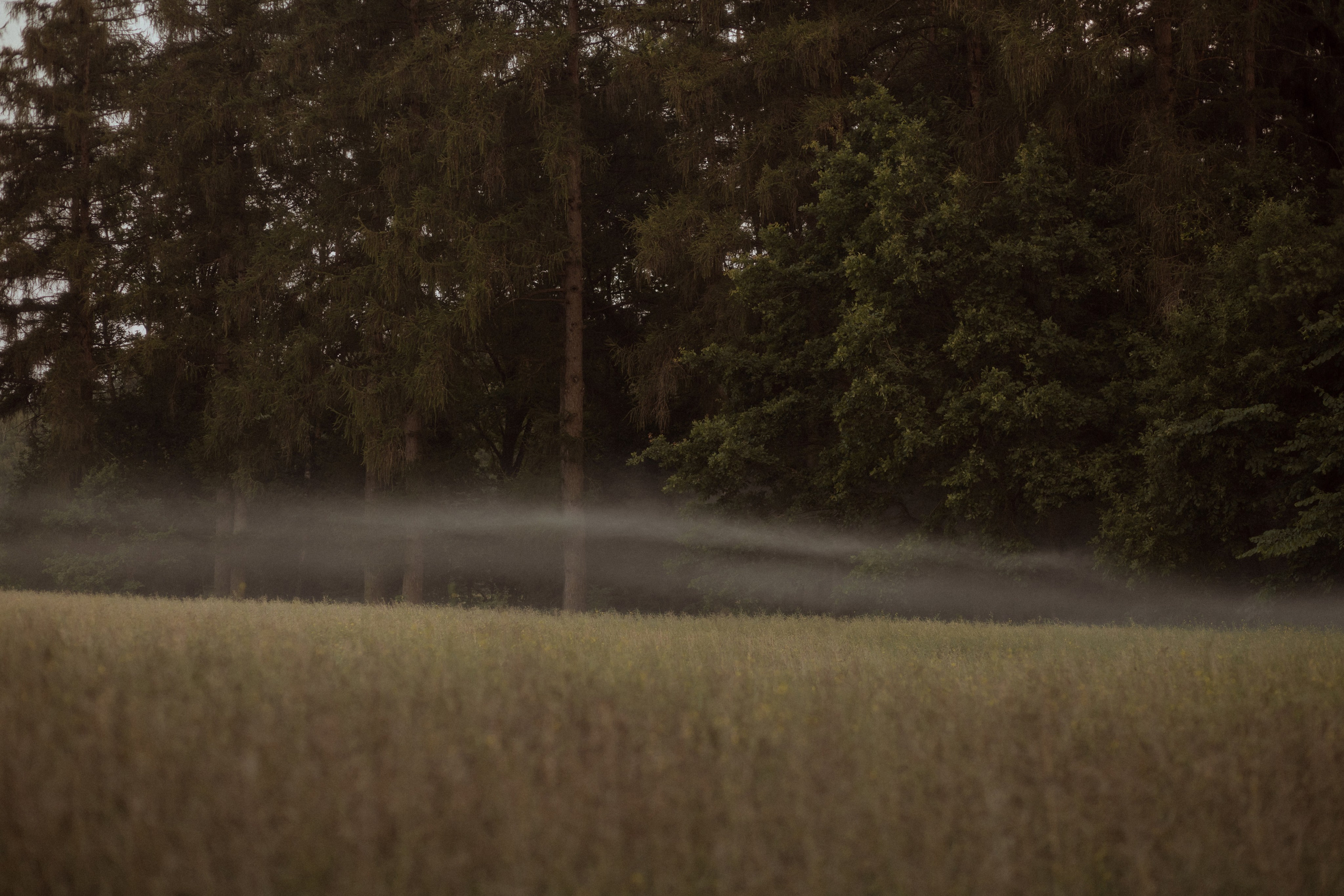 Yan & Polina. Part II: Nobody knows it but me. Фотограф Лия Козловская Минск