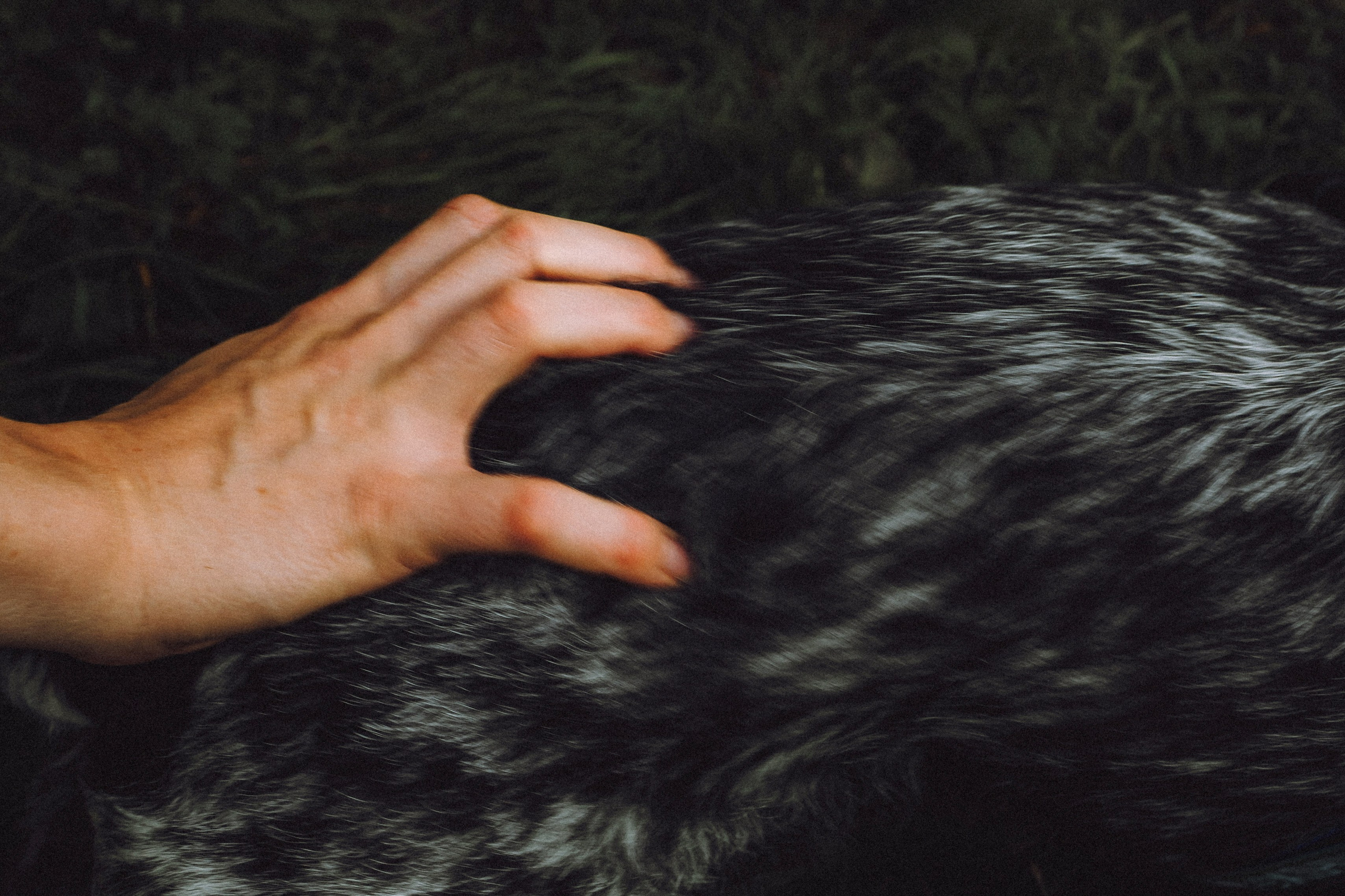 Маша и Ларри