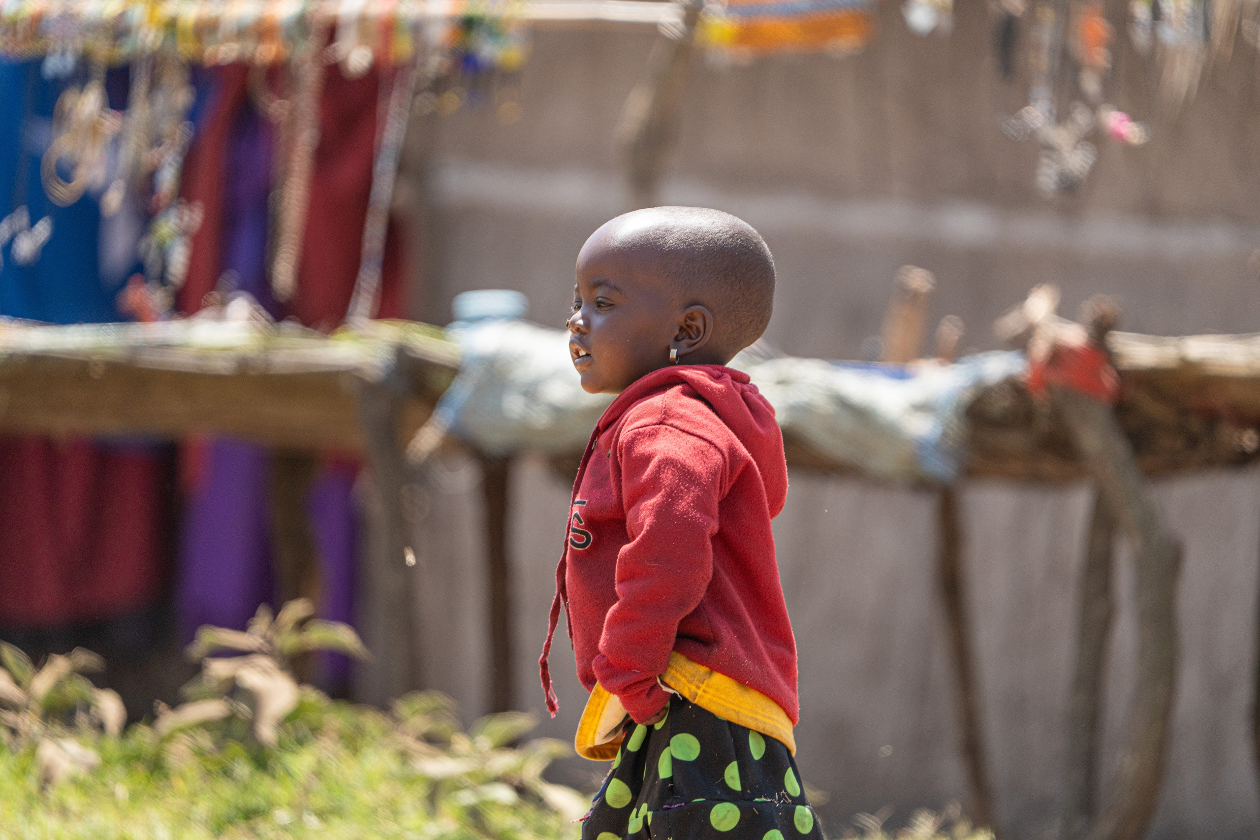 Танзания, сафари, 2025. Творческие сьемки