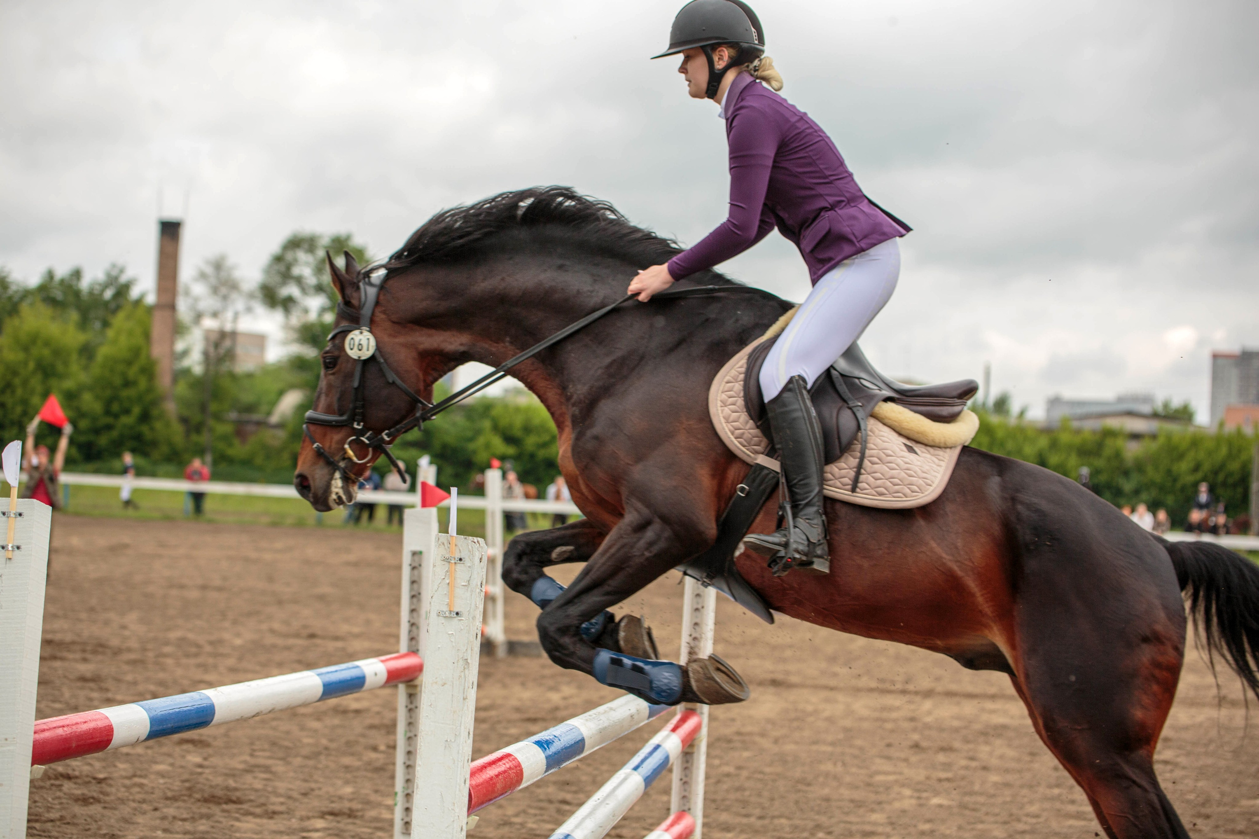 2024. Конный фотограф в Красноярске — Любовь Похабова