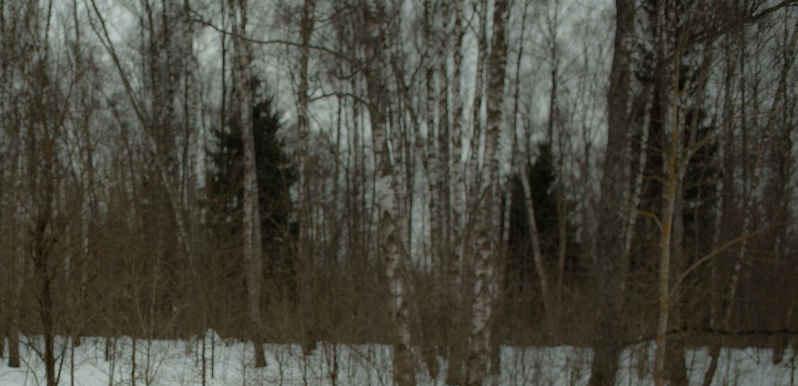 Портфолио. МАГДА