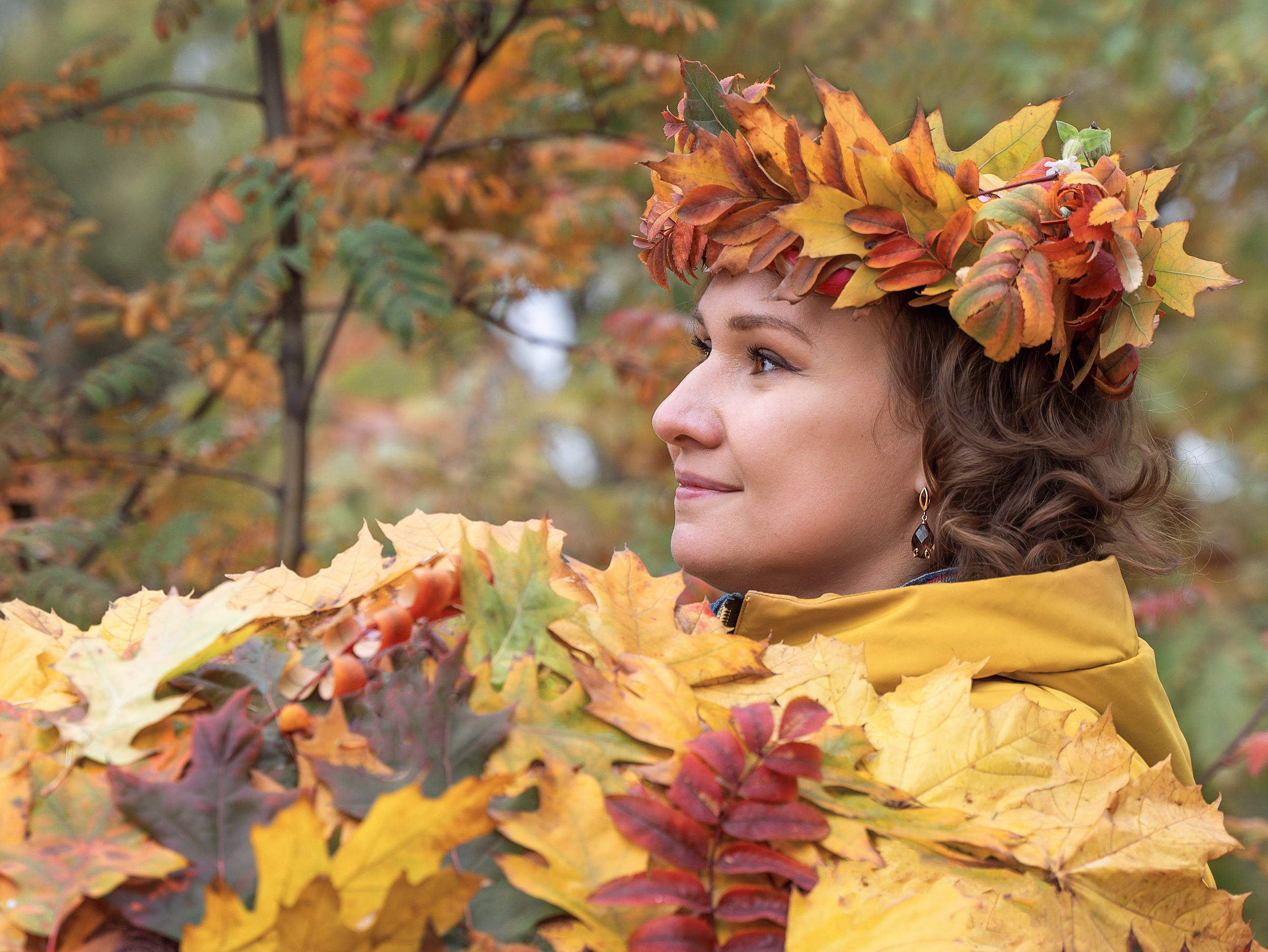 ЗОЛОТАЯ ОСЕНЬ. Фотограф Марина Гребенюк Белгородская область город Губкин