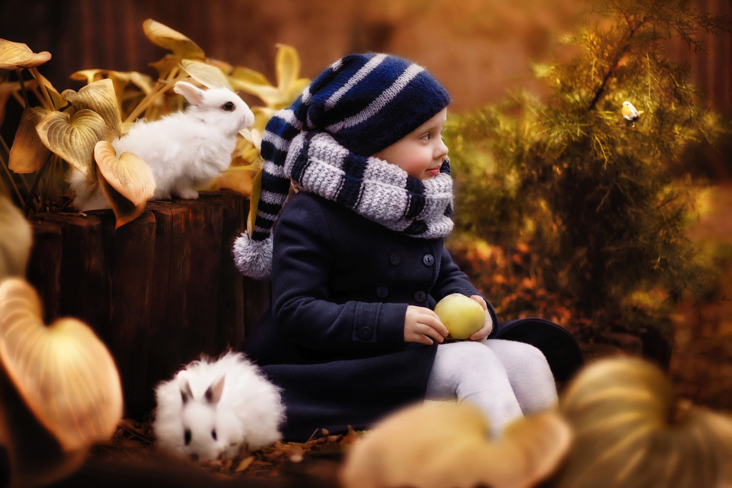 Фотограф Марина Гребенюк Белгородская область город Губкин