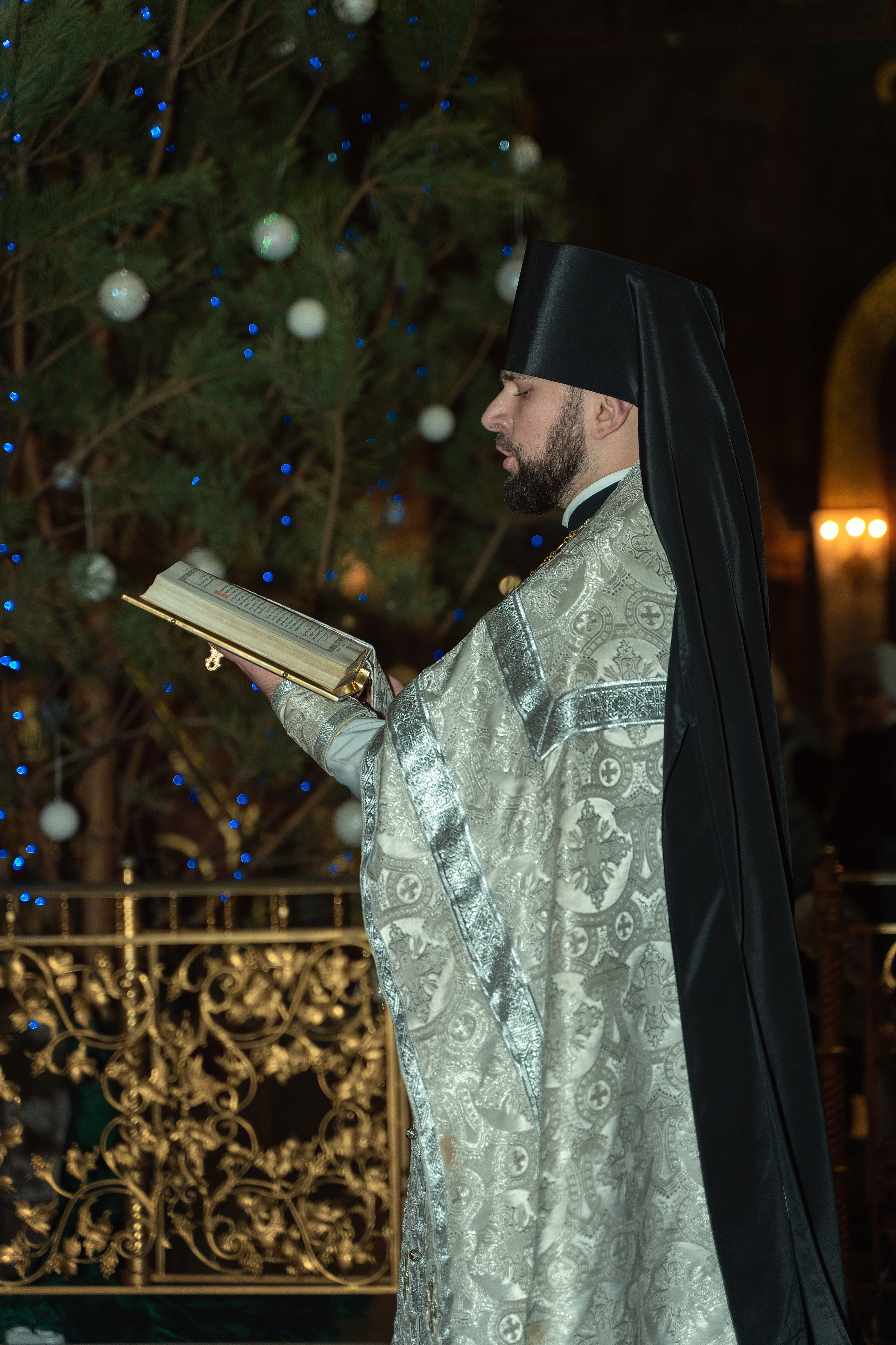 Рождество и Крещение. Фотограф Марина Гребенюк Белгородская область город Губкин