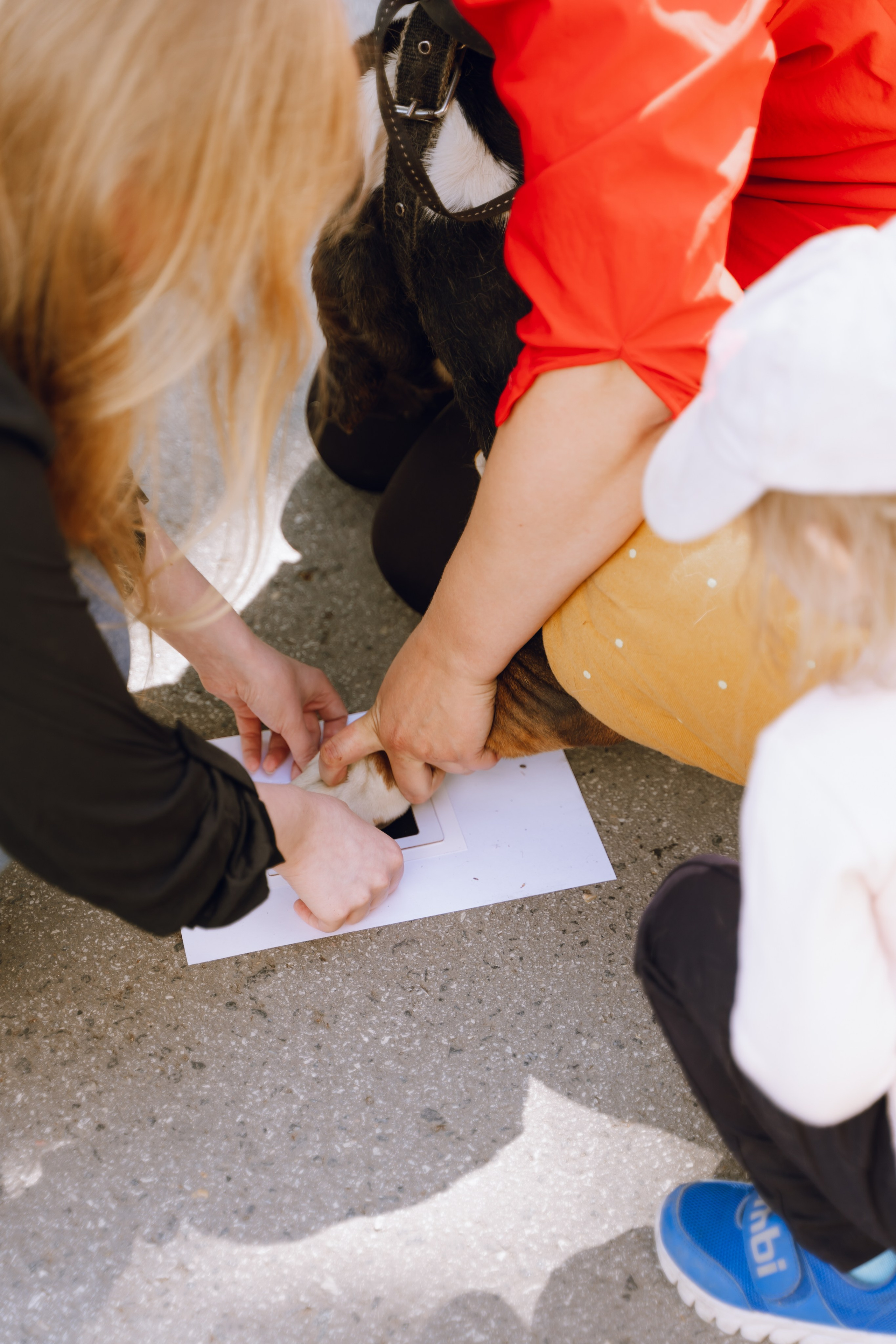 Площадка фестиваля «Мампус и его друзья» в Лесопарке 2025. Фотограф Надежда Погребняк | Рязань | Москва