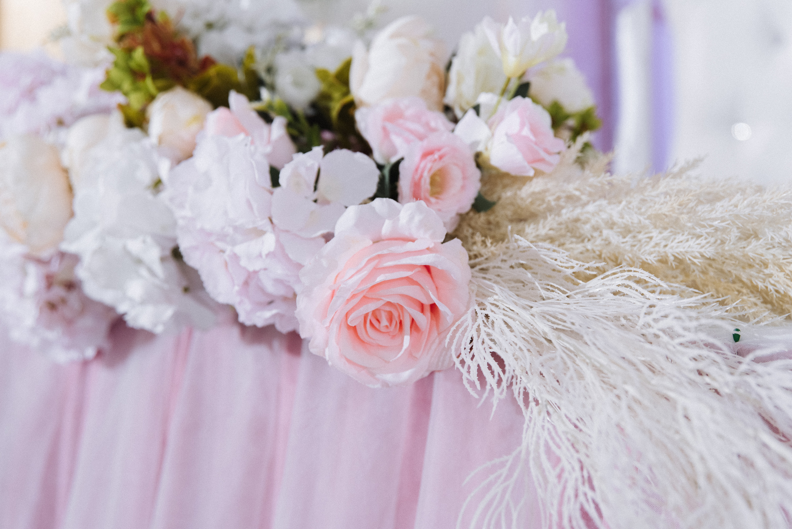 Мика & Мика. Фотограф Даурен Абилхаятов