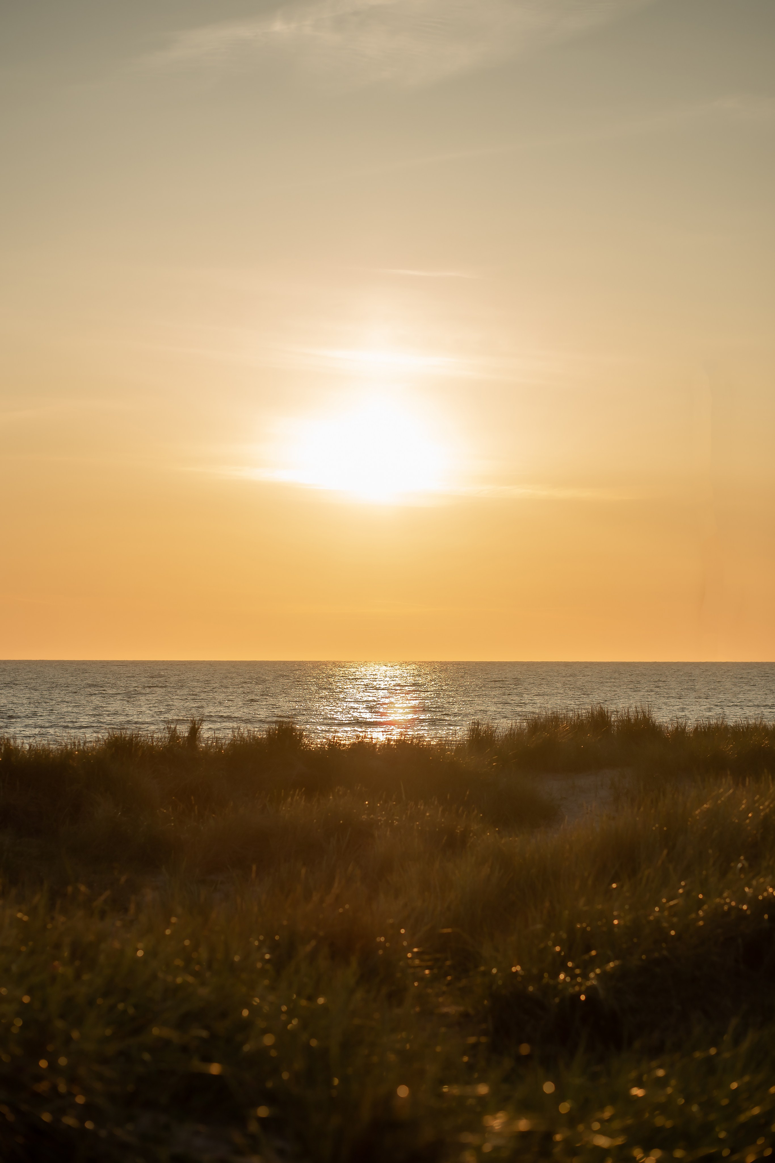Павел и Татьяна. Закат в Янтарном. Фотограф в Калининграде Решетникова Алина