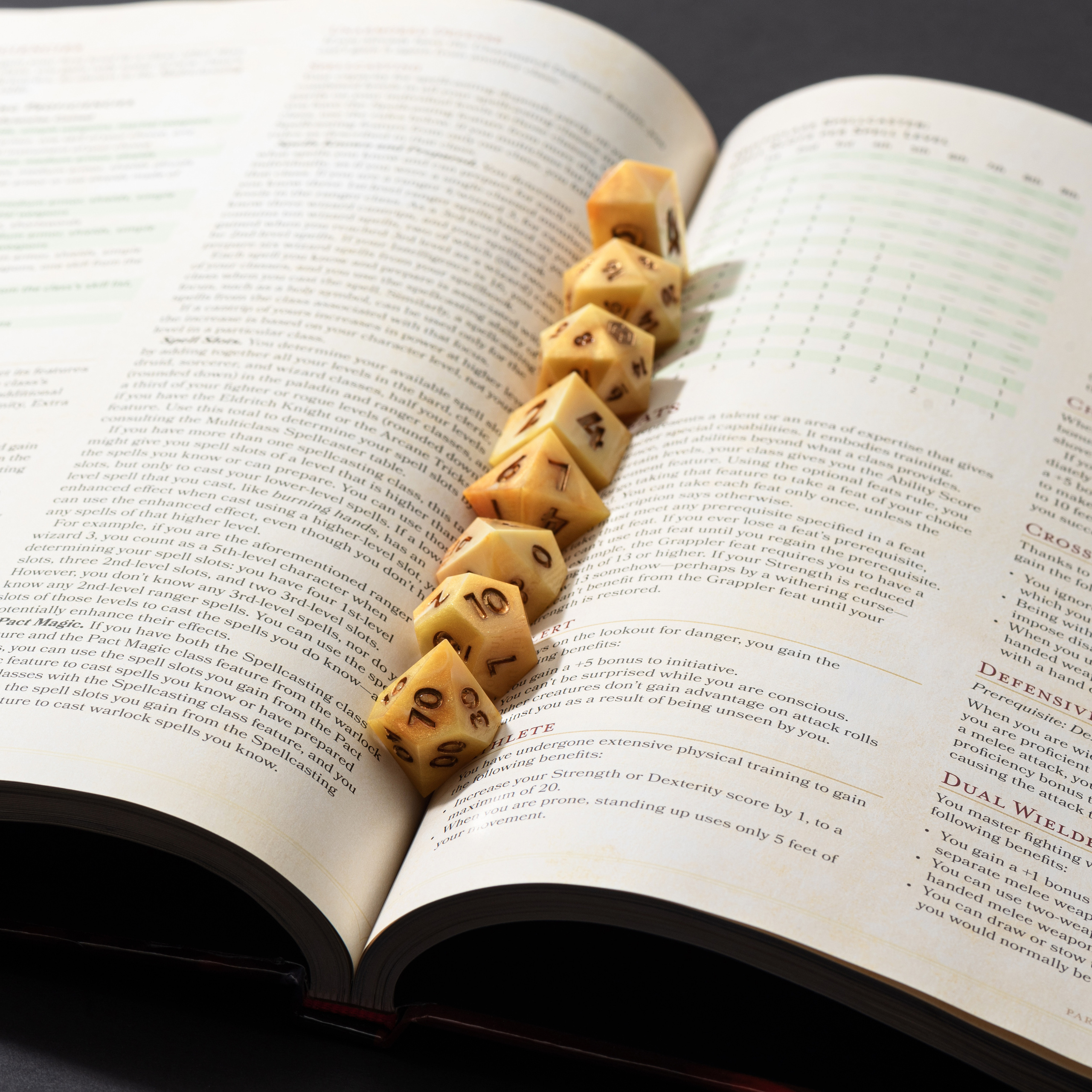 DnD dice. Фотограф в Москве