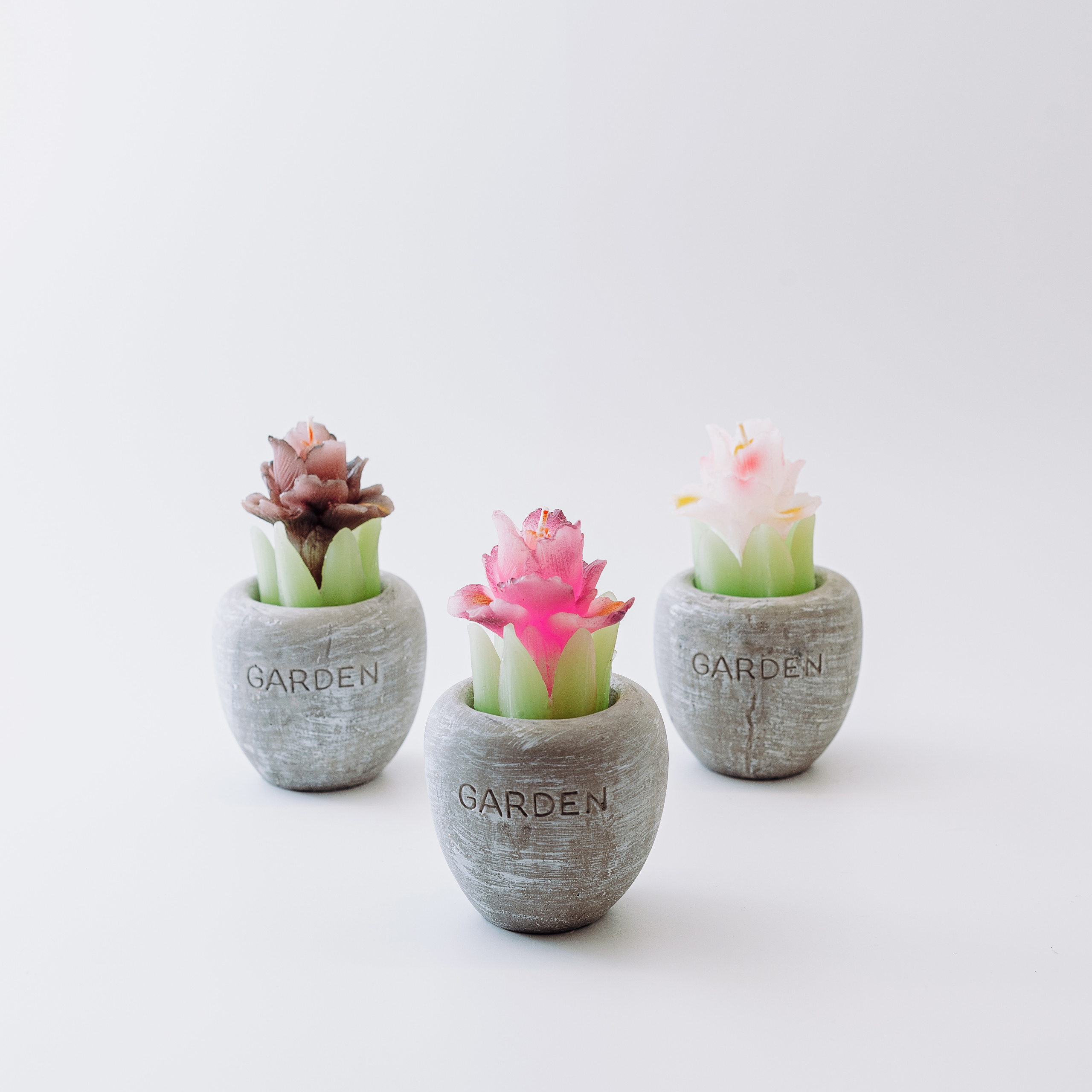 Фотограф в Москве