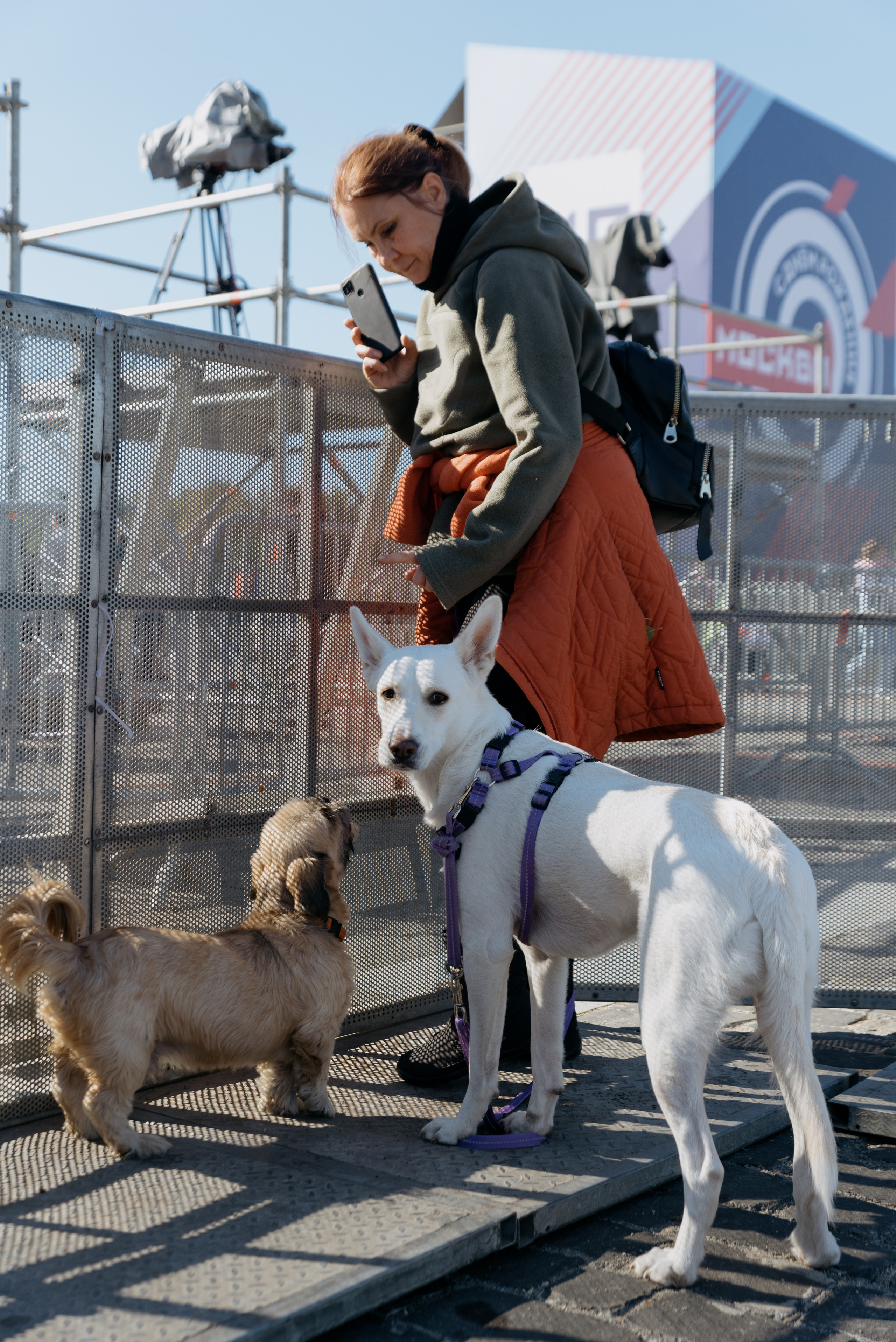 День Города. Фотограф в Москве