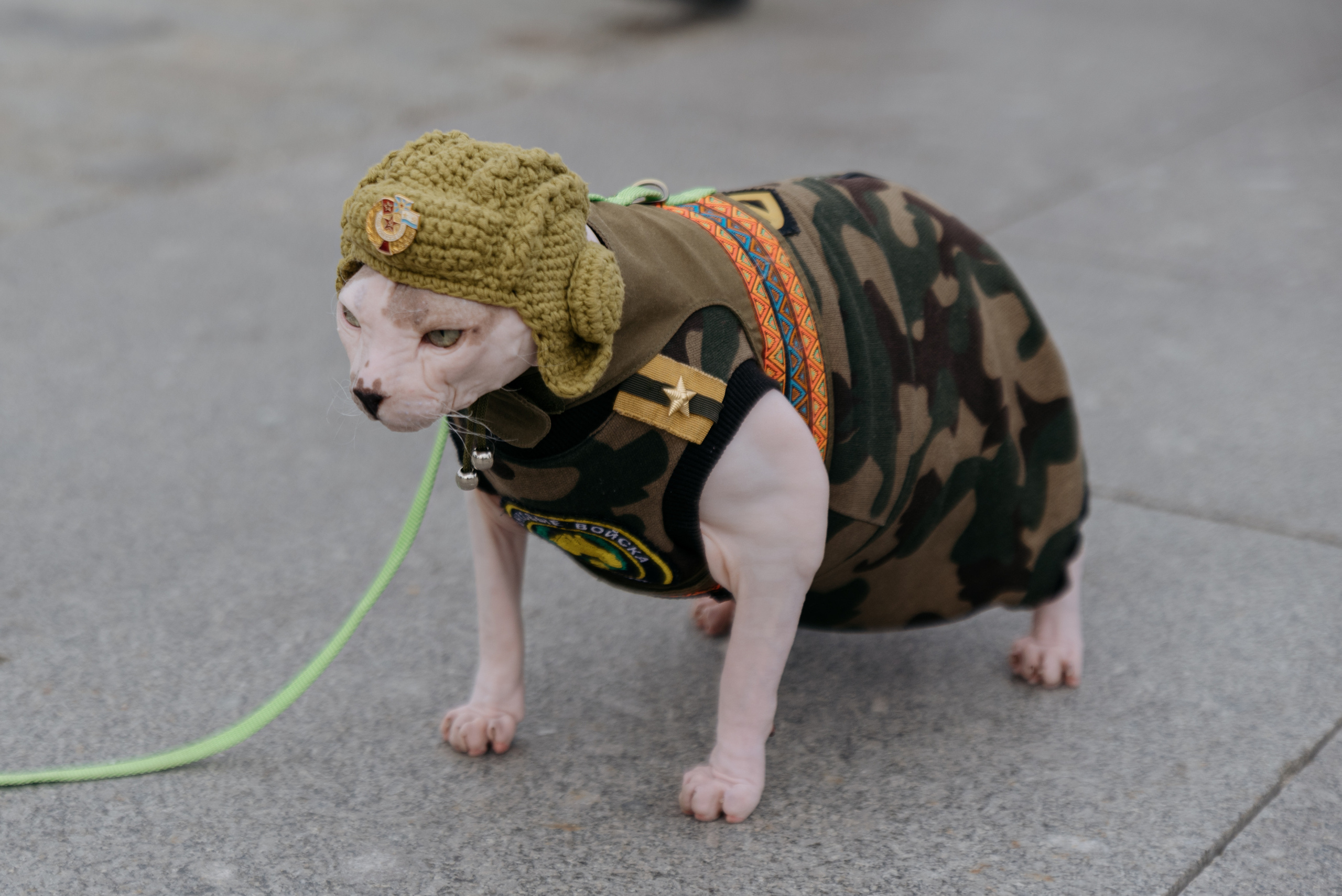 День Города. Фотограф в Москве