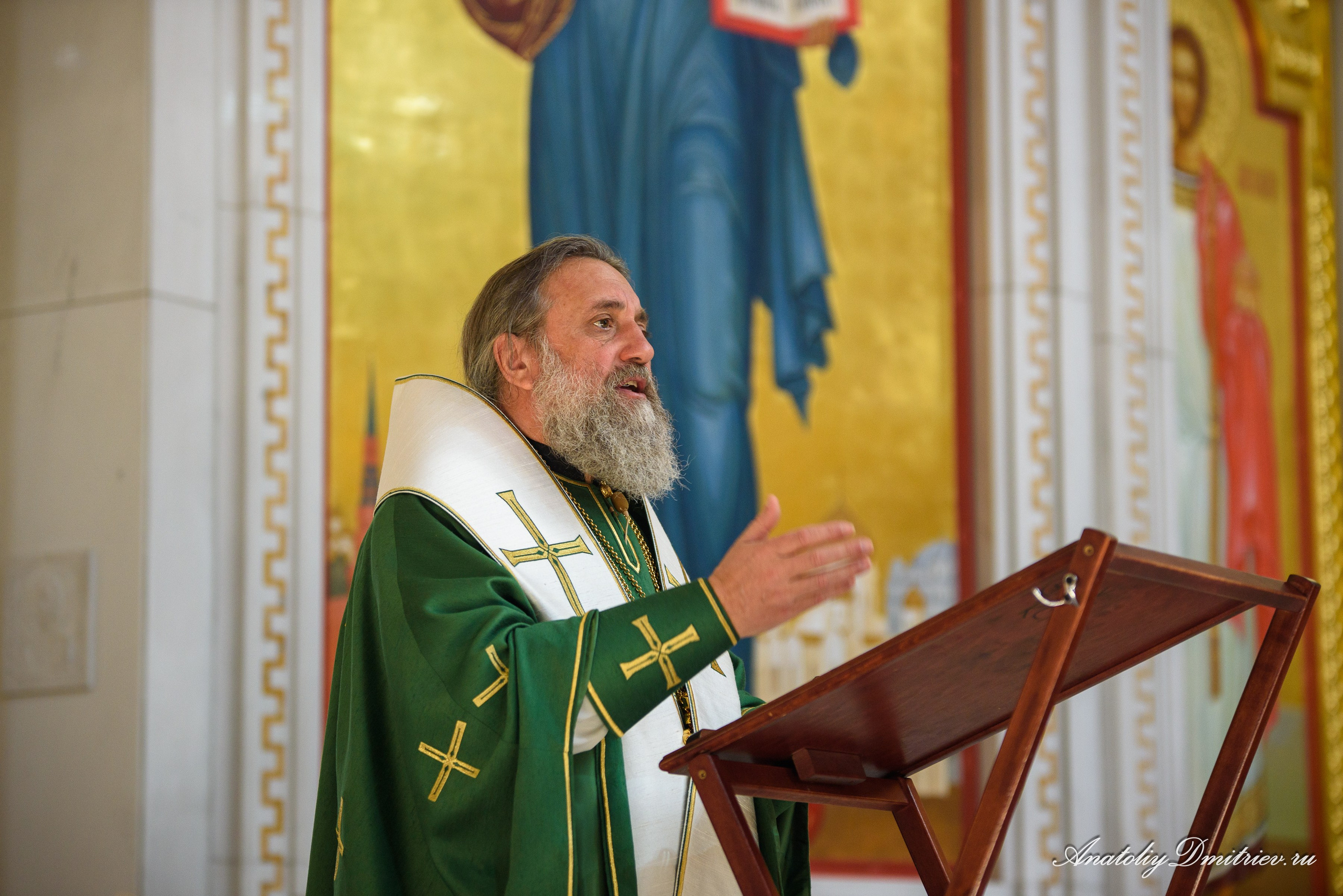 Вербное 2025. Фотограф  Крещения и Венчания Калининград