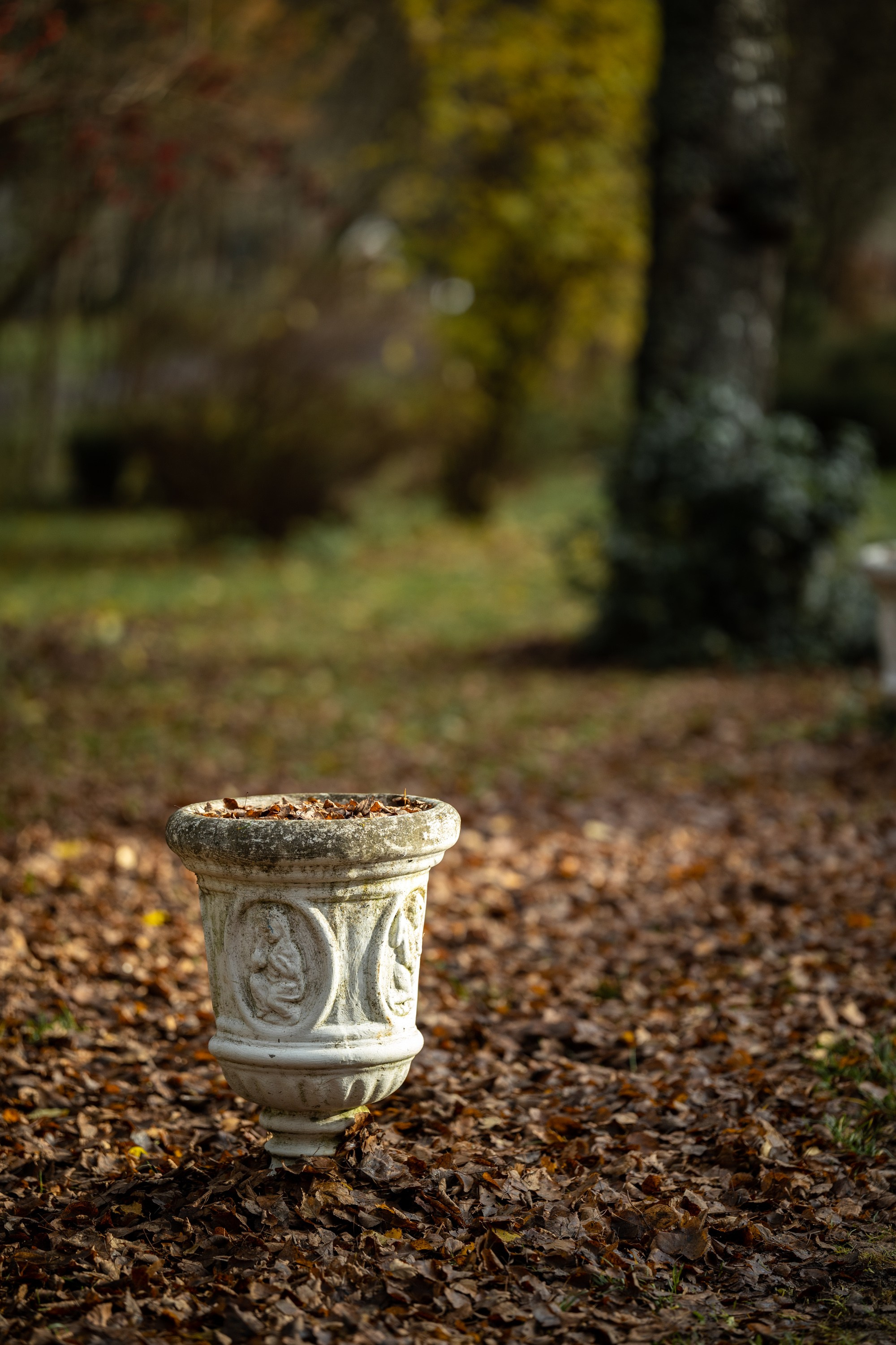 Фотосессия Середниково усадьба Лермонтова. Портретный фотограф в Костроме Наталия Клевинскас
