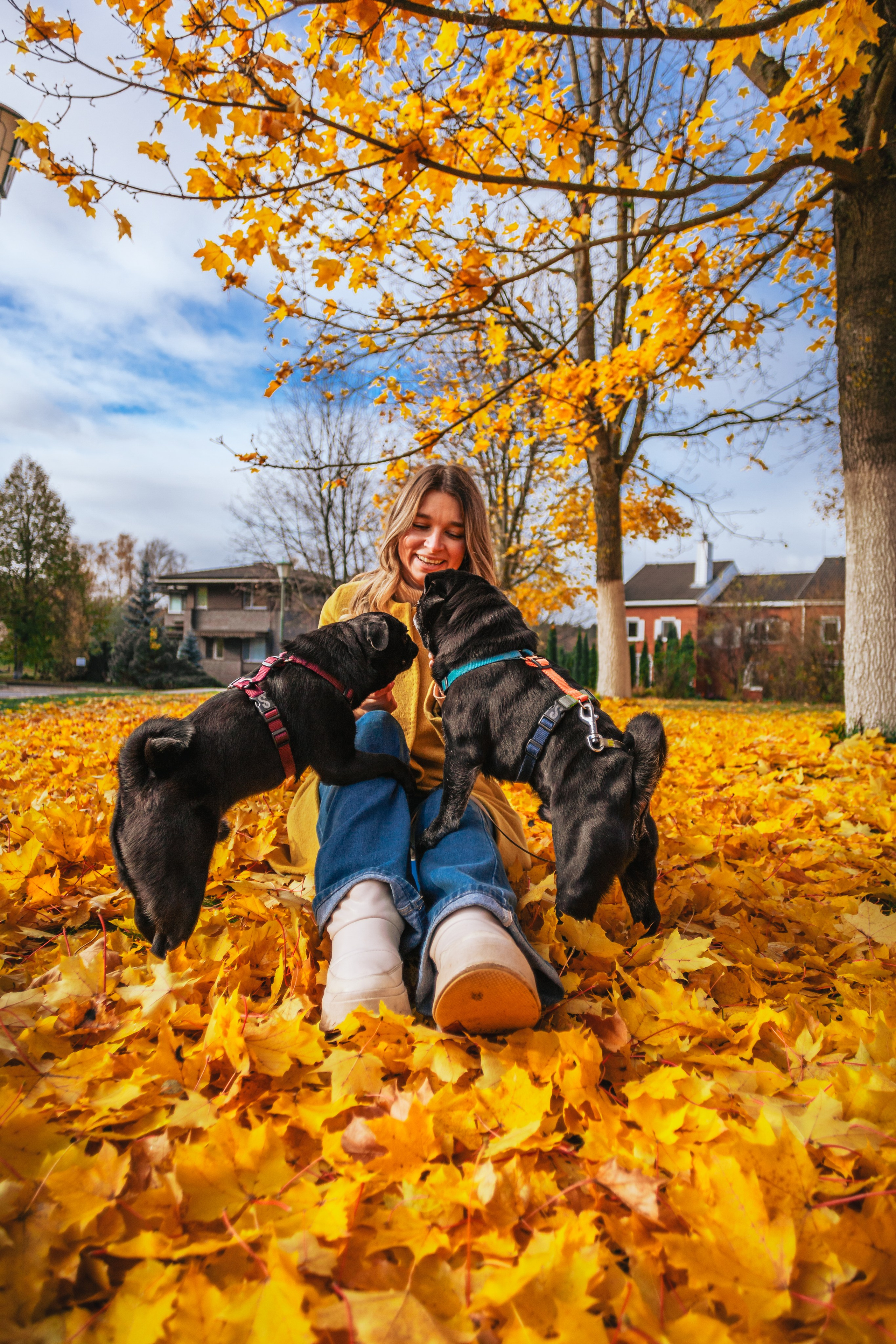 Оля, Харви, Луис. Фотограф-анималист Татьяна Степанова